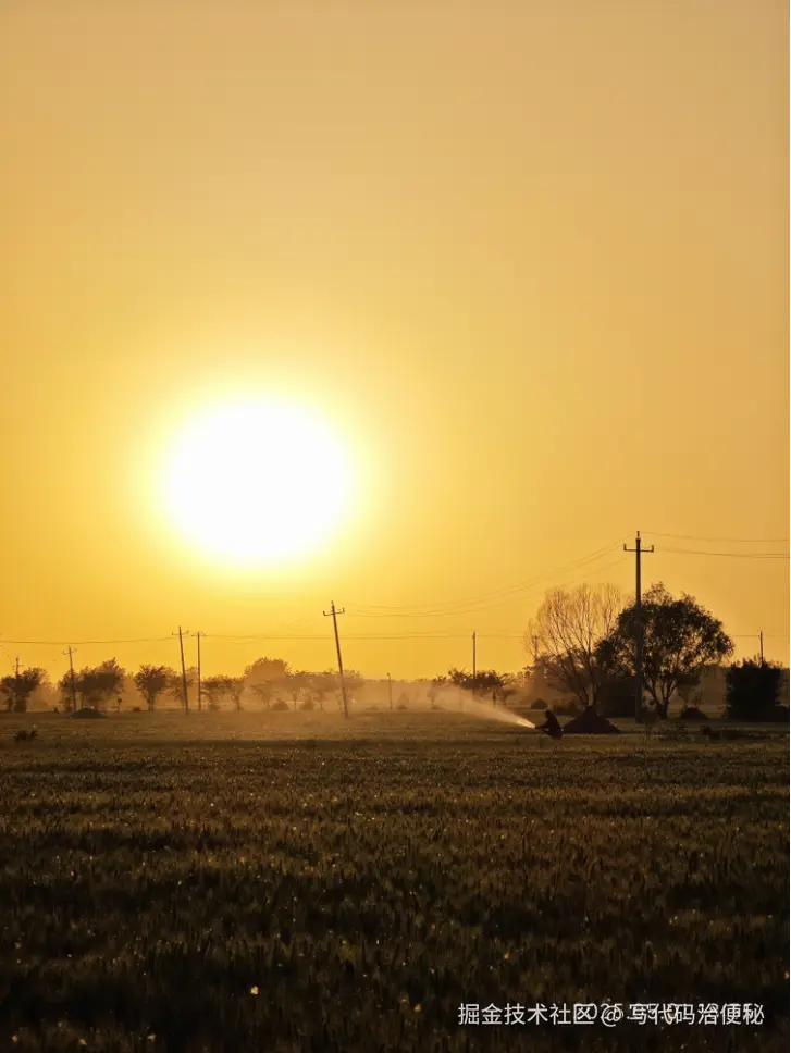 写代码治便秘于2025-05-07 10:57发布的图片