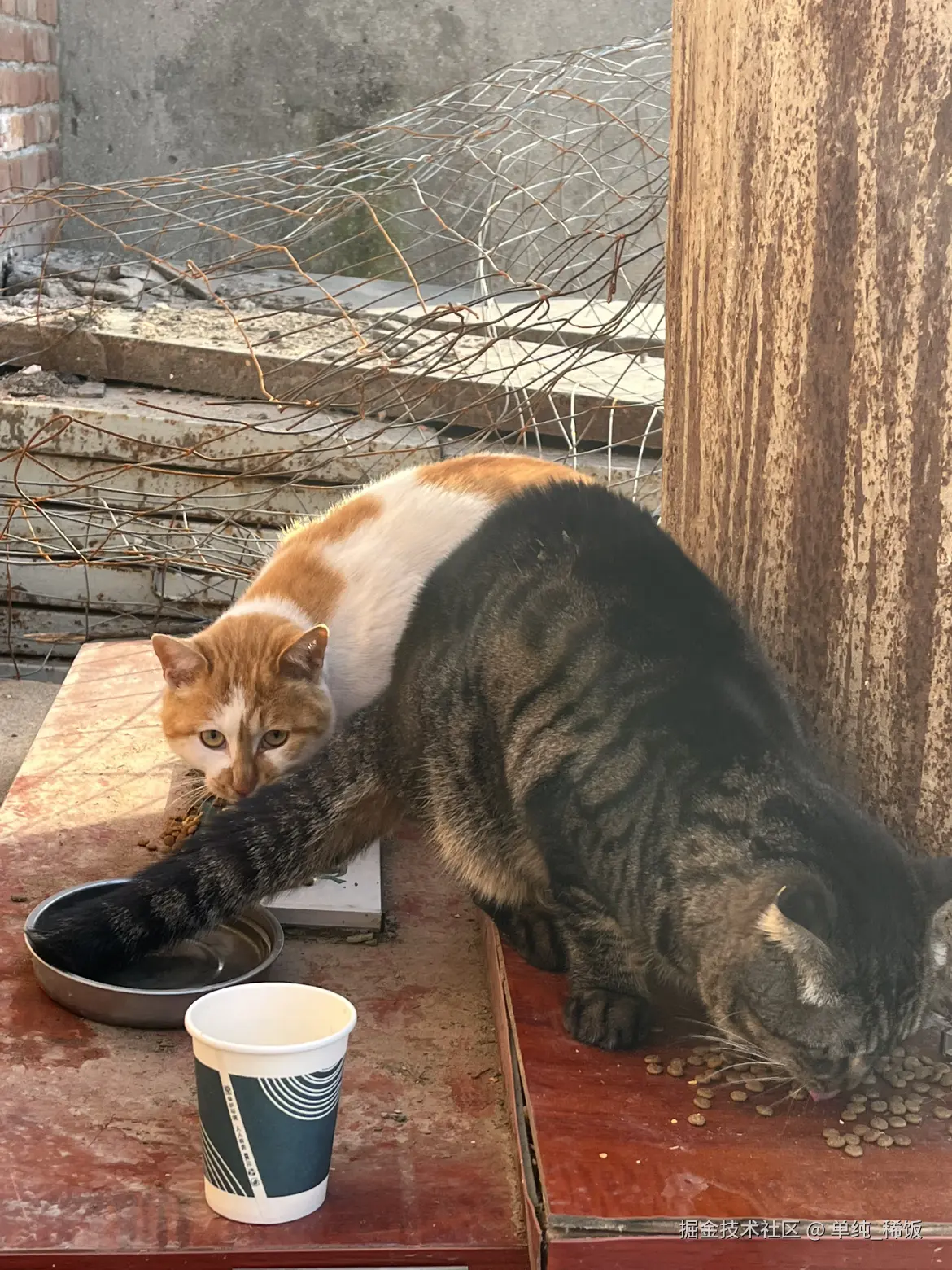 单纯_稀饭于2025-11-26 09:05发布的图片