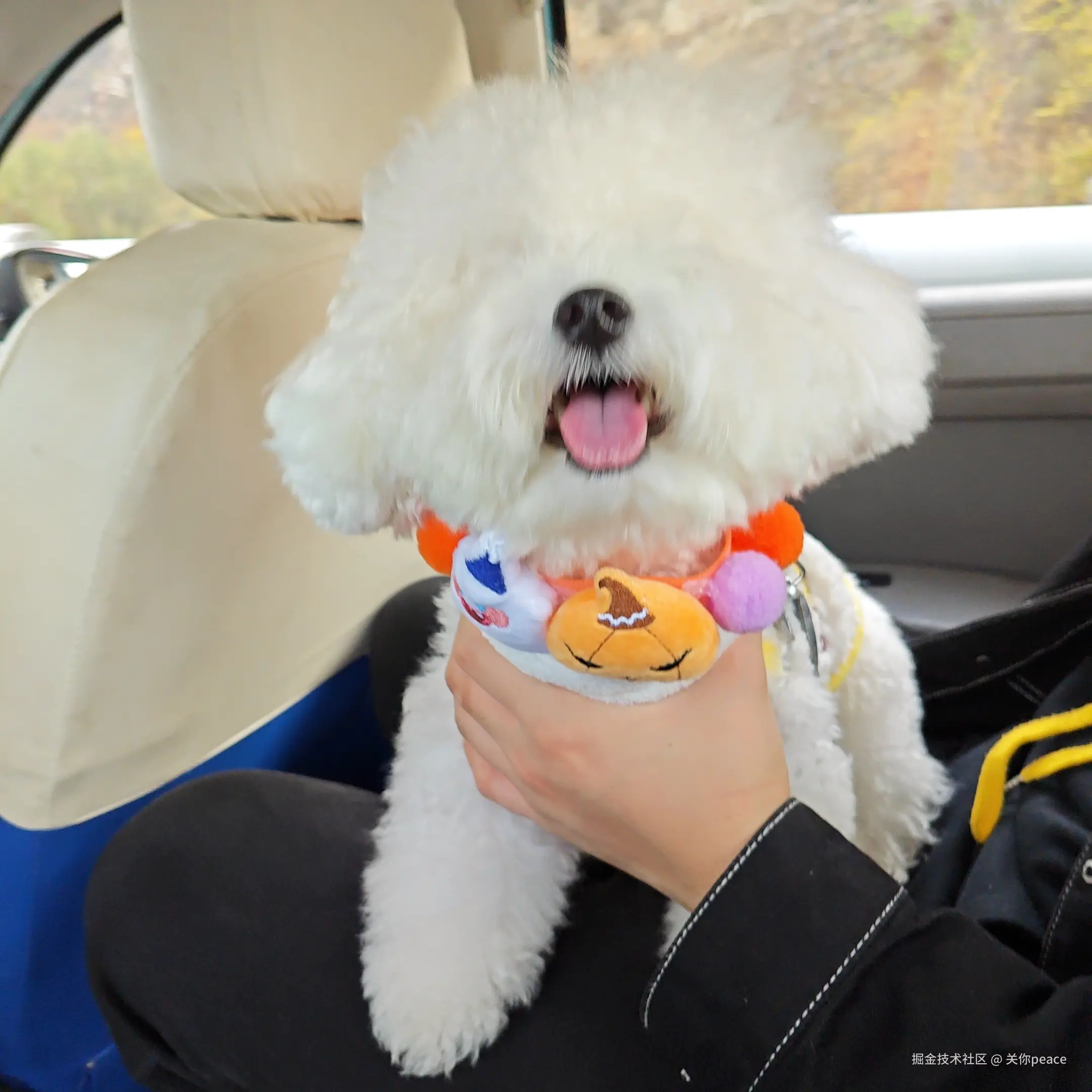 关你peace于2024-11-04 11:49发布的图片