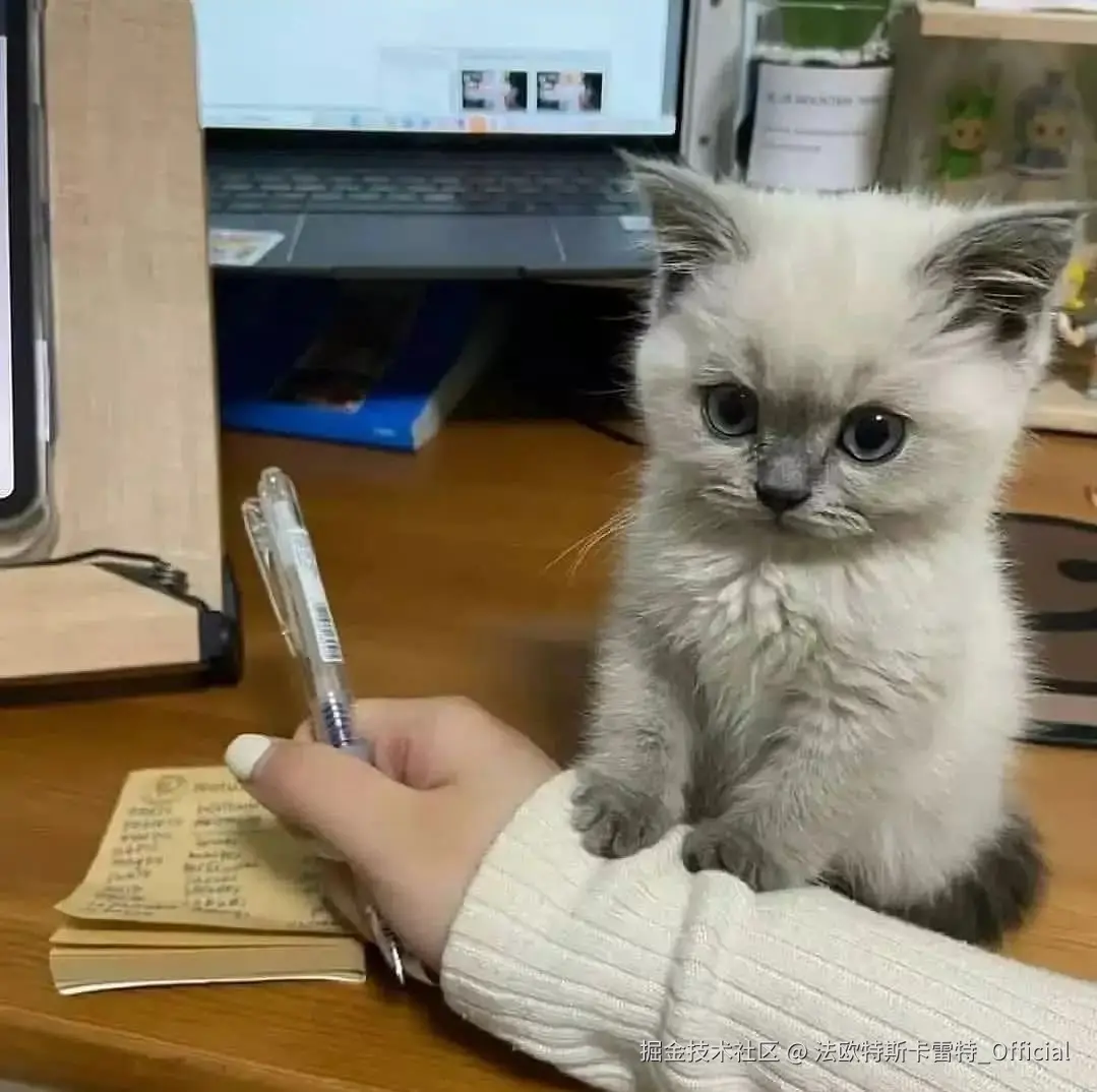 法欧特斯卡雷特_Official于2024-11-08 10:07发布的图片