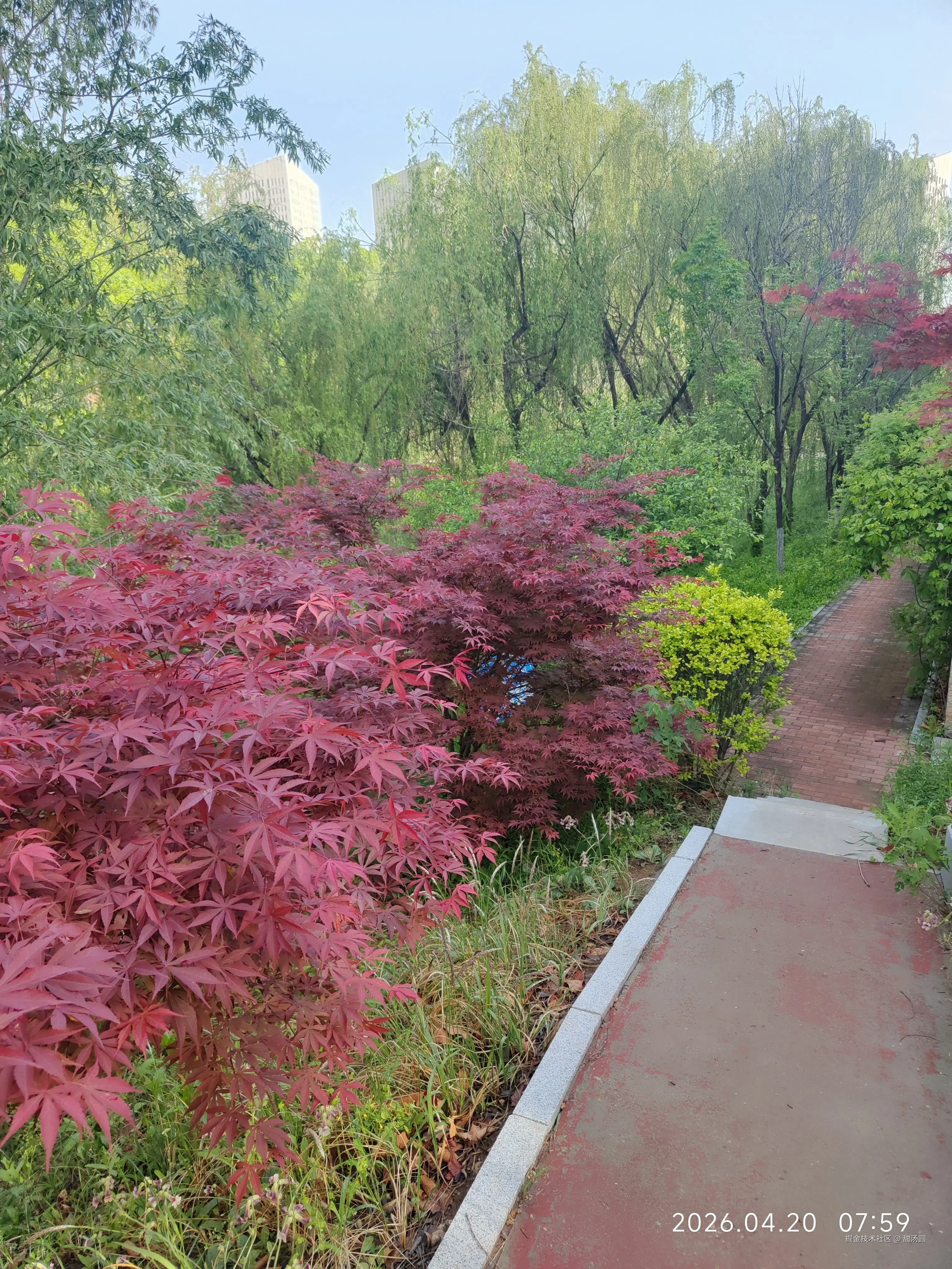 甜汤圆于2026-04-20 08:35发布的图片