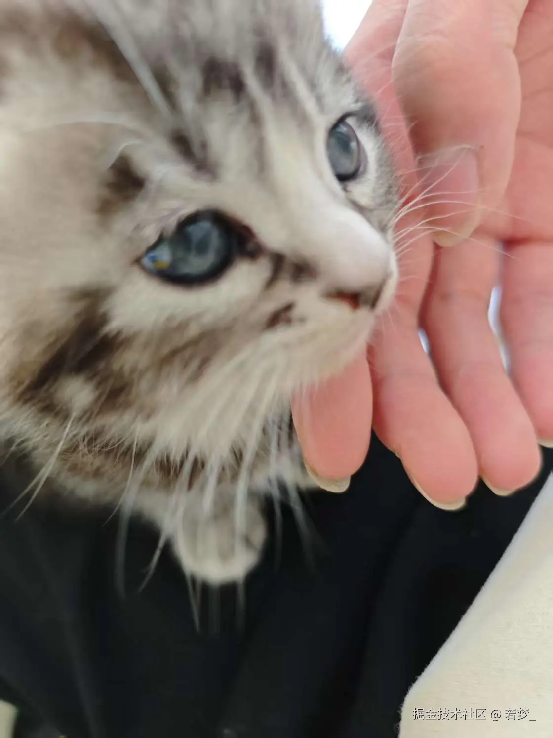 若梦_于2025-03-03 11:39发布的图片