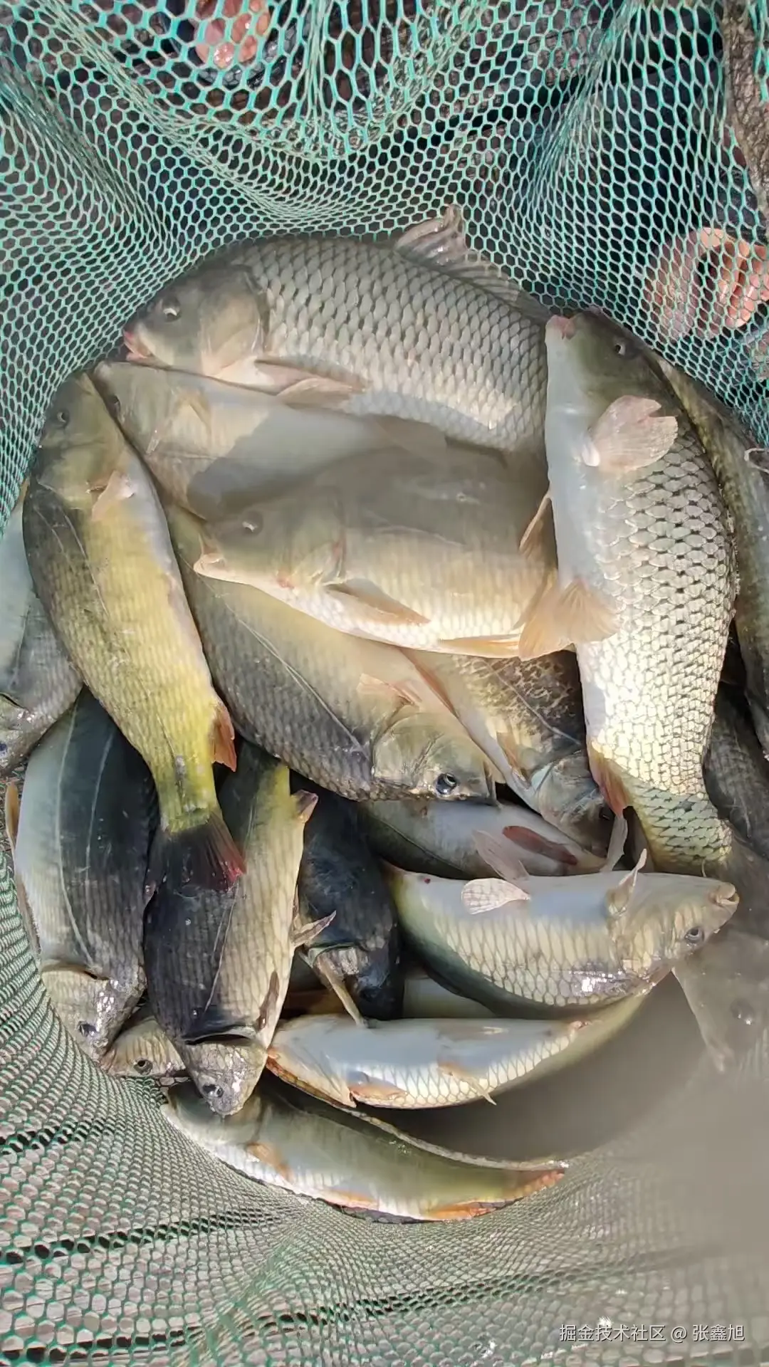 张鑫旭于2025-08-06 14:20发布的图片