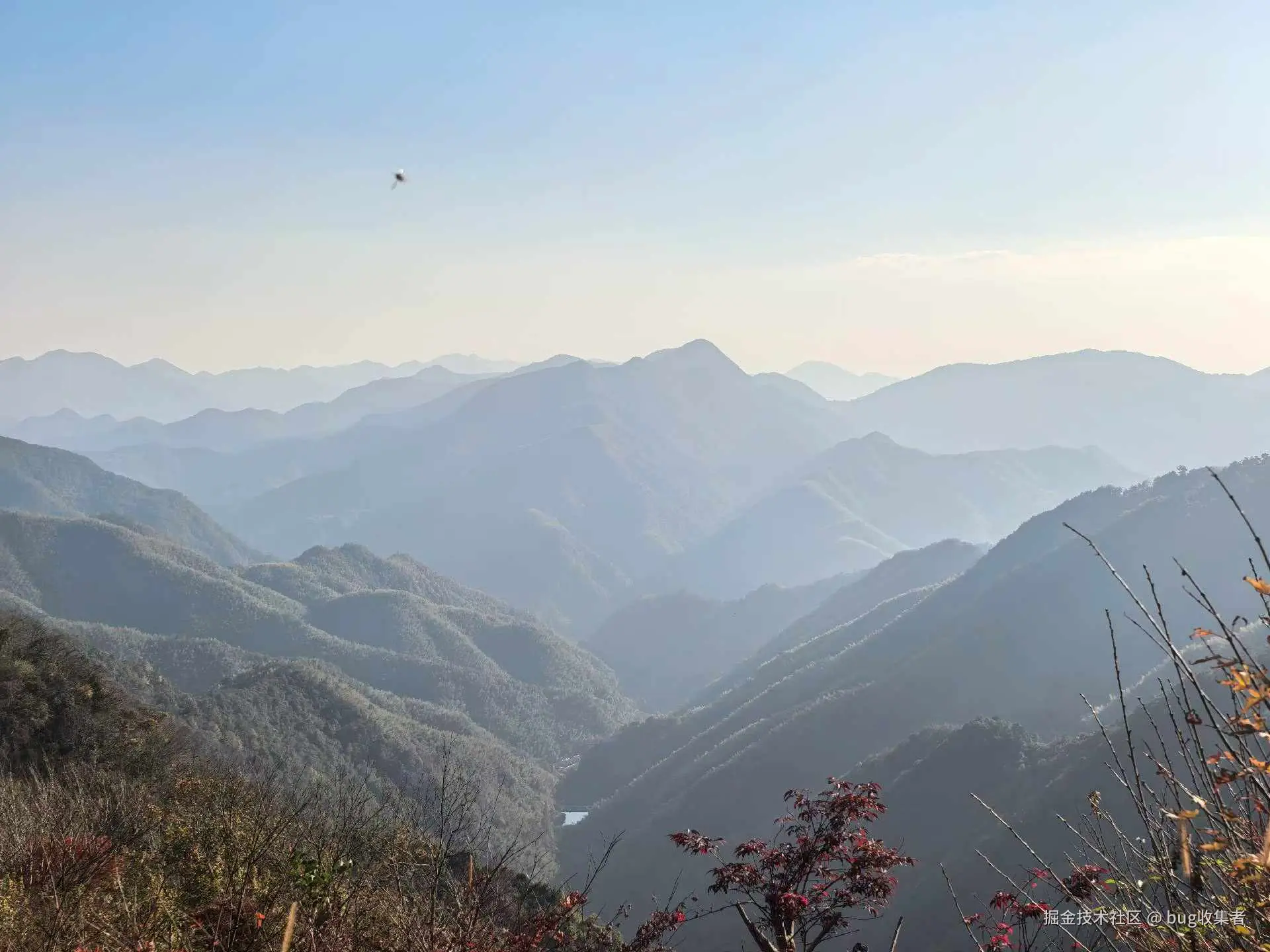 bug收集者于2025-11-17 13:02发布的图片