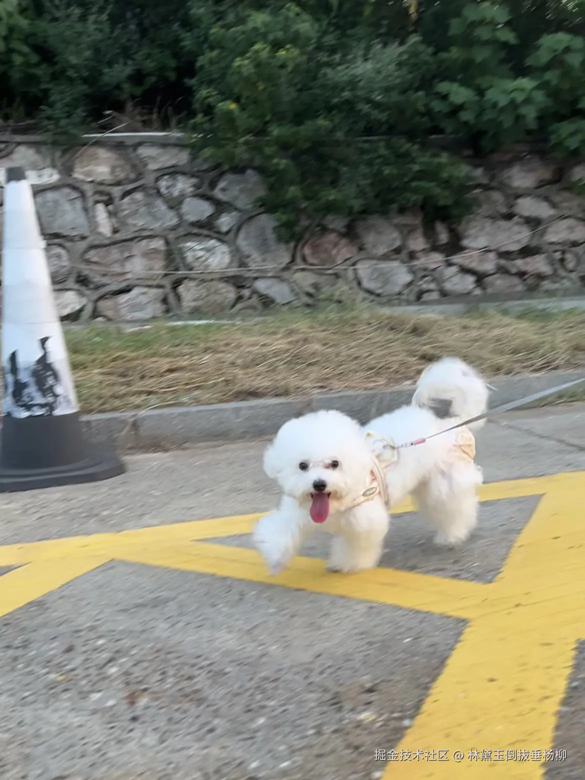 林黛玉倒拔垂杨柳于2024-09-18 17:23发布的图片