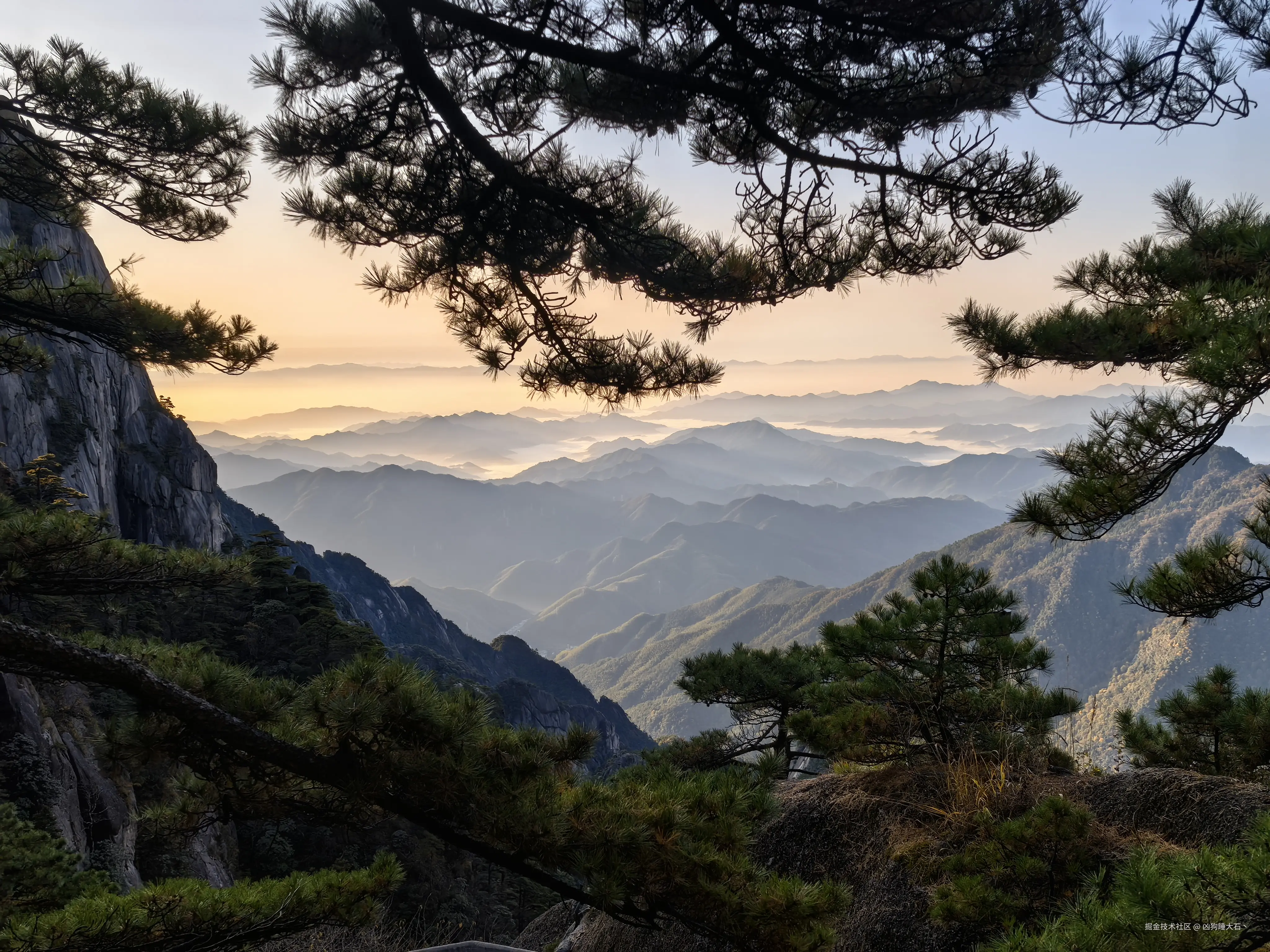 凶狗睡大石丶于2024-11-05 10:11发布的图片