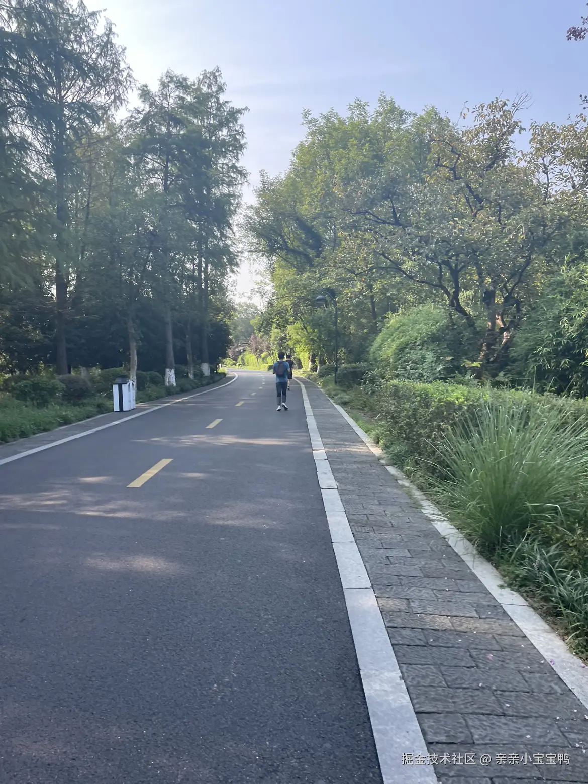 亲亲小宝宝鸭于2024-09-02 13:55发布的图片