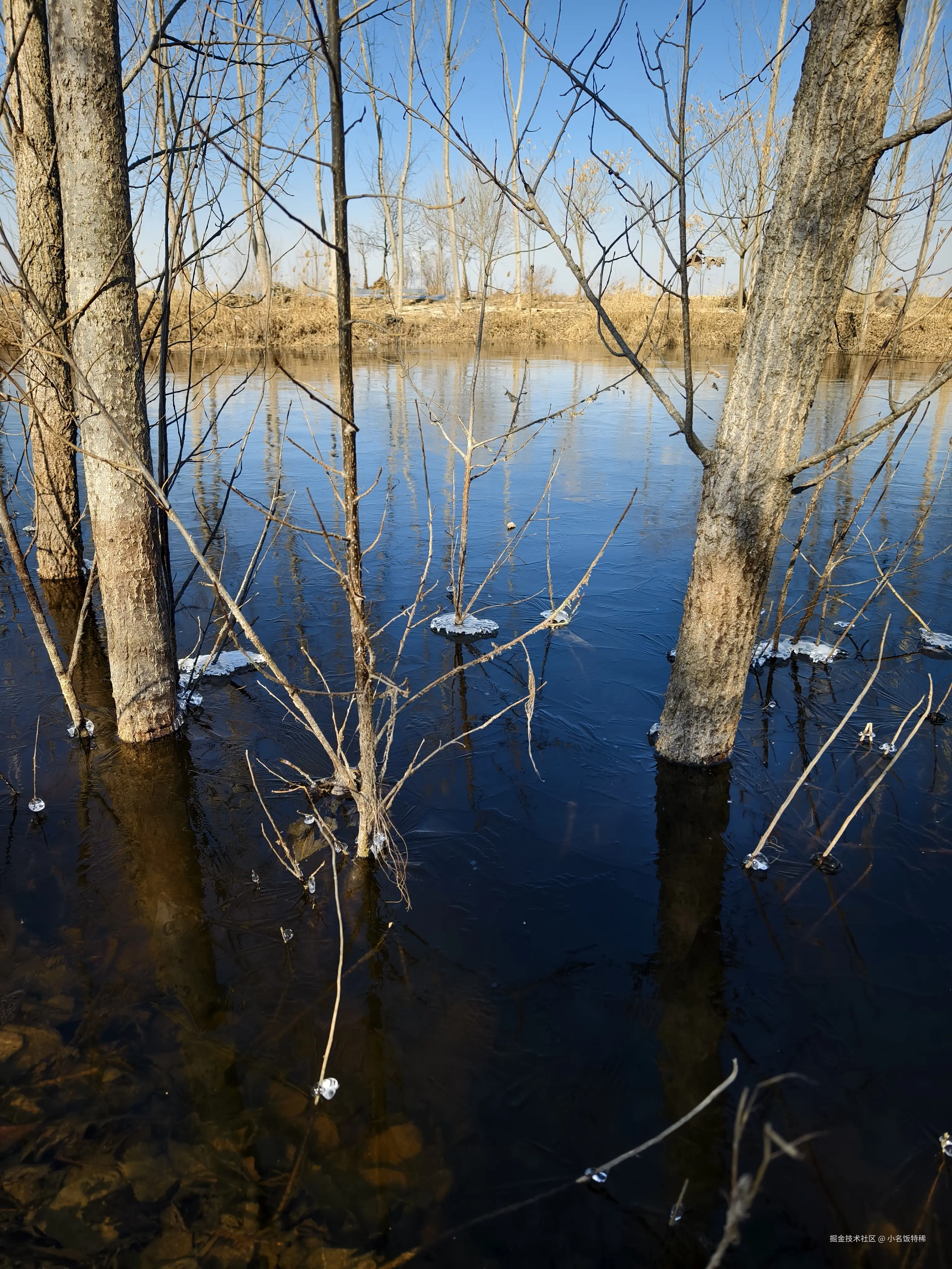 小名饭特稀于2025-02-10 17:44发布的图片