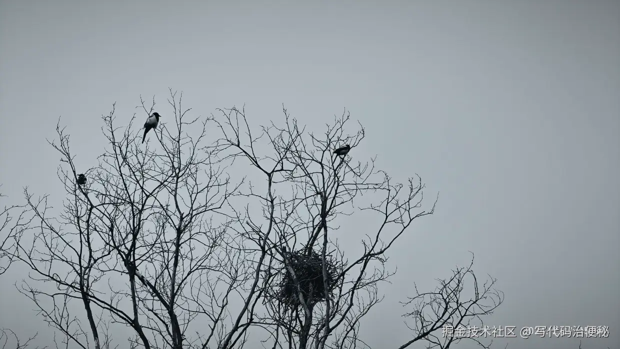 写代码治便秘于2025-05-09 14:43发布的图片