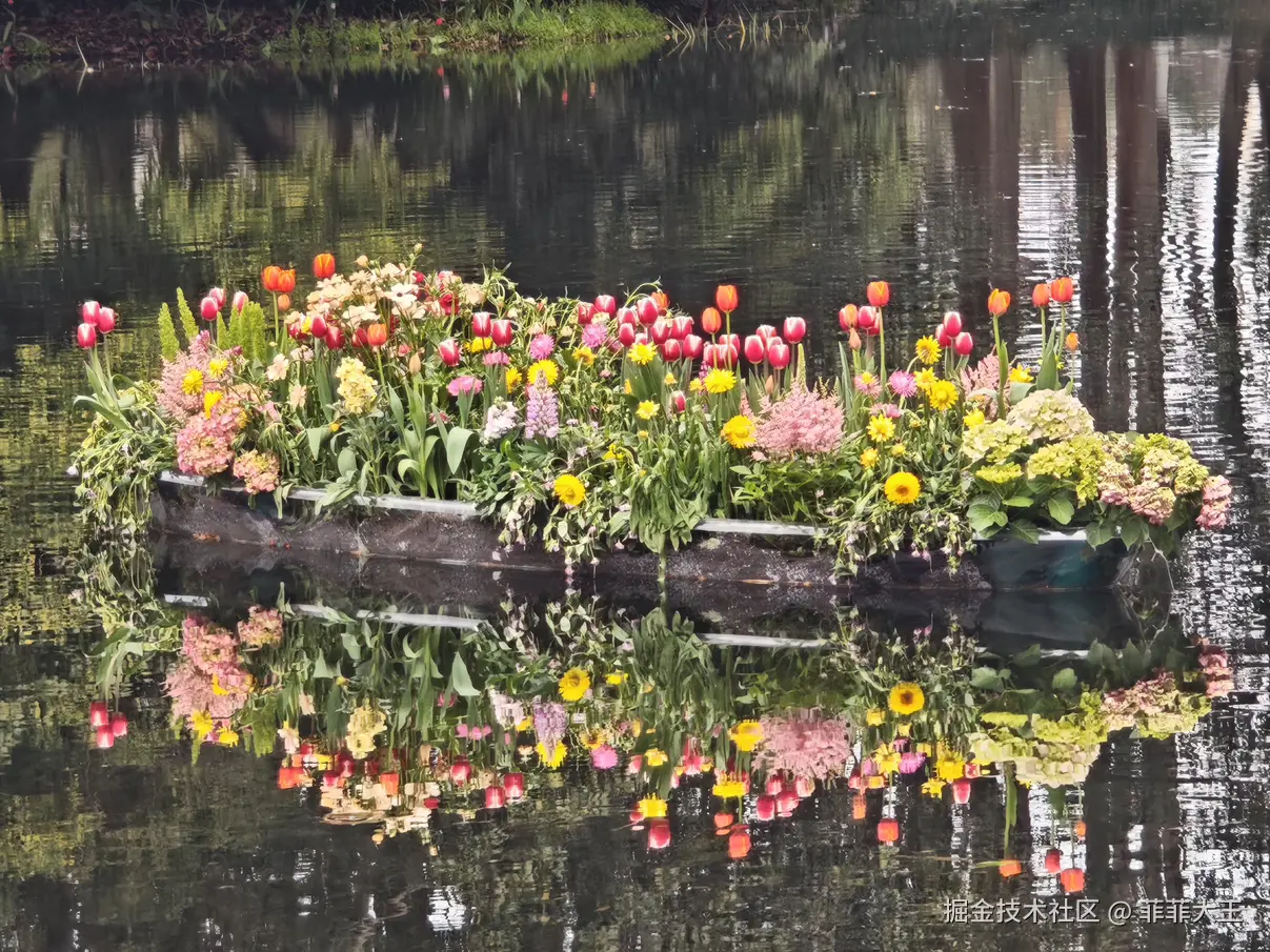 菲菲大王于2026-03-09 10:13发布的图片