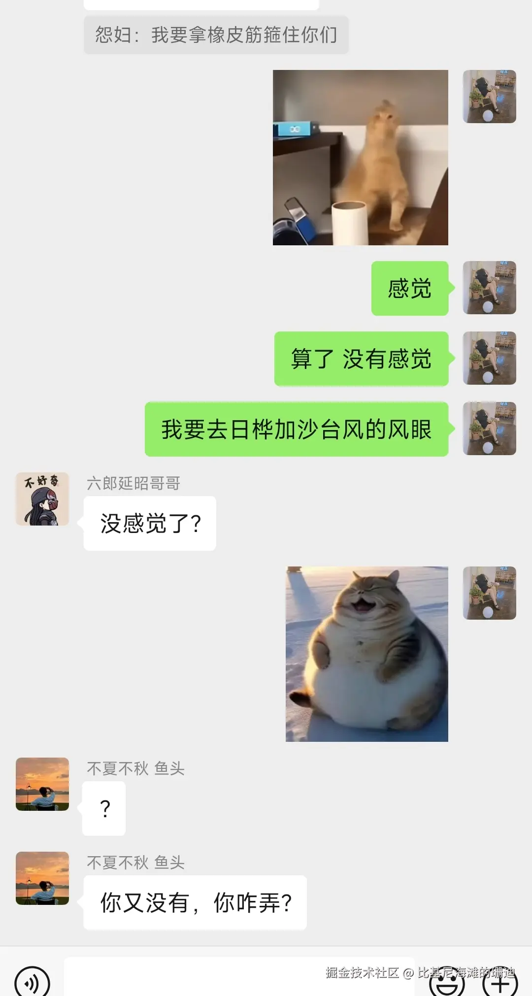 比基尼海滩的珊迪于2025-09-23 11:19发布的图片