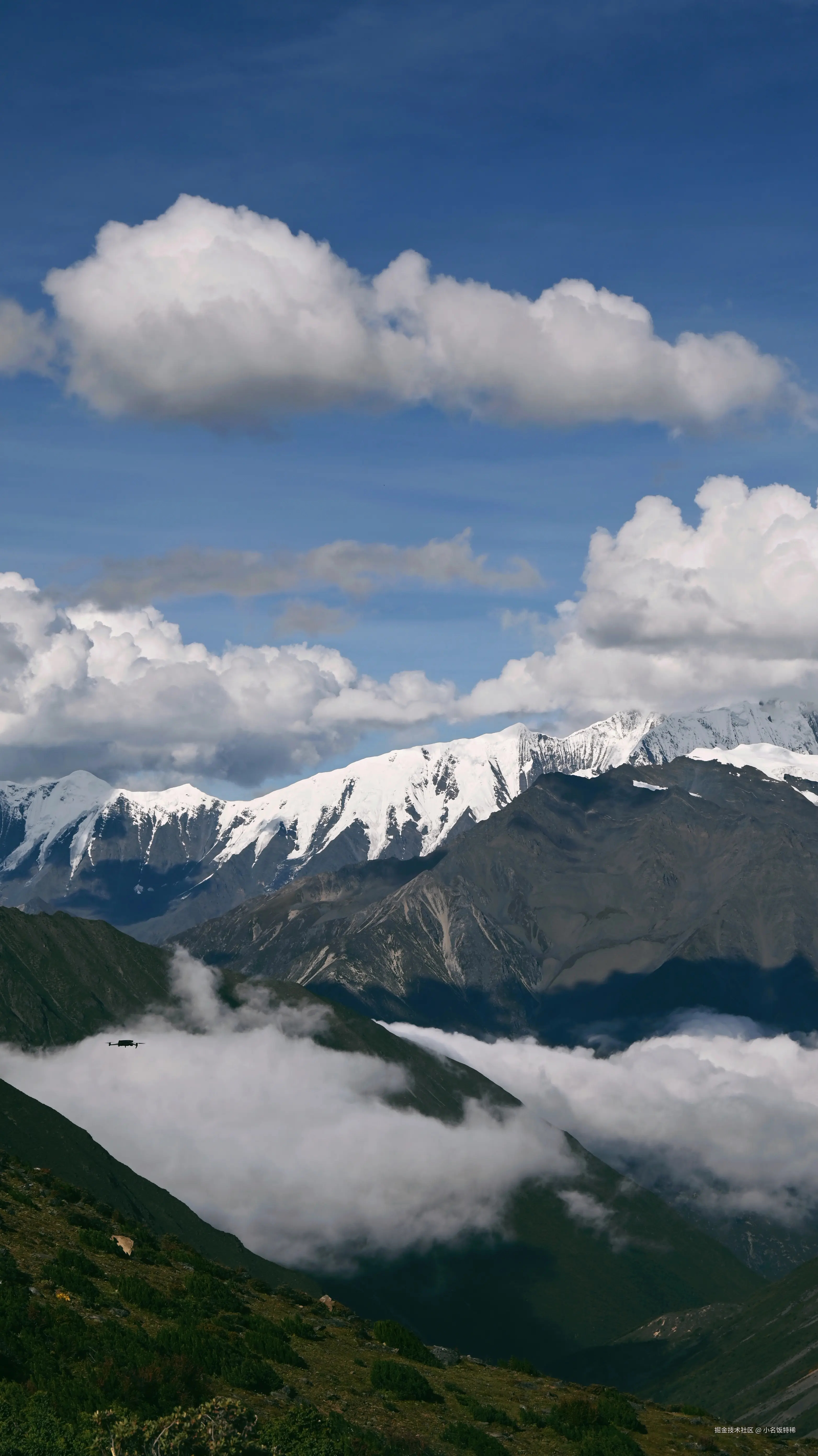 小名饭特稀于2025-10-09 11:32发布的图片