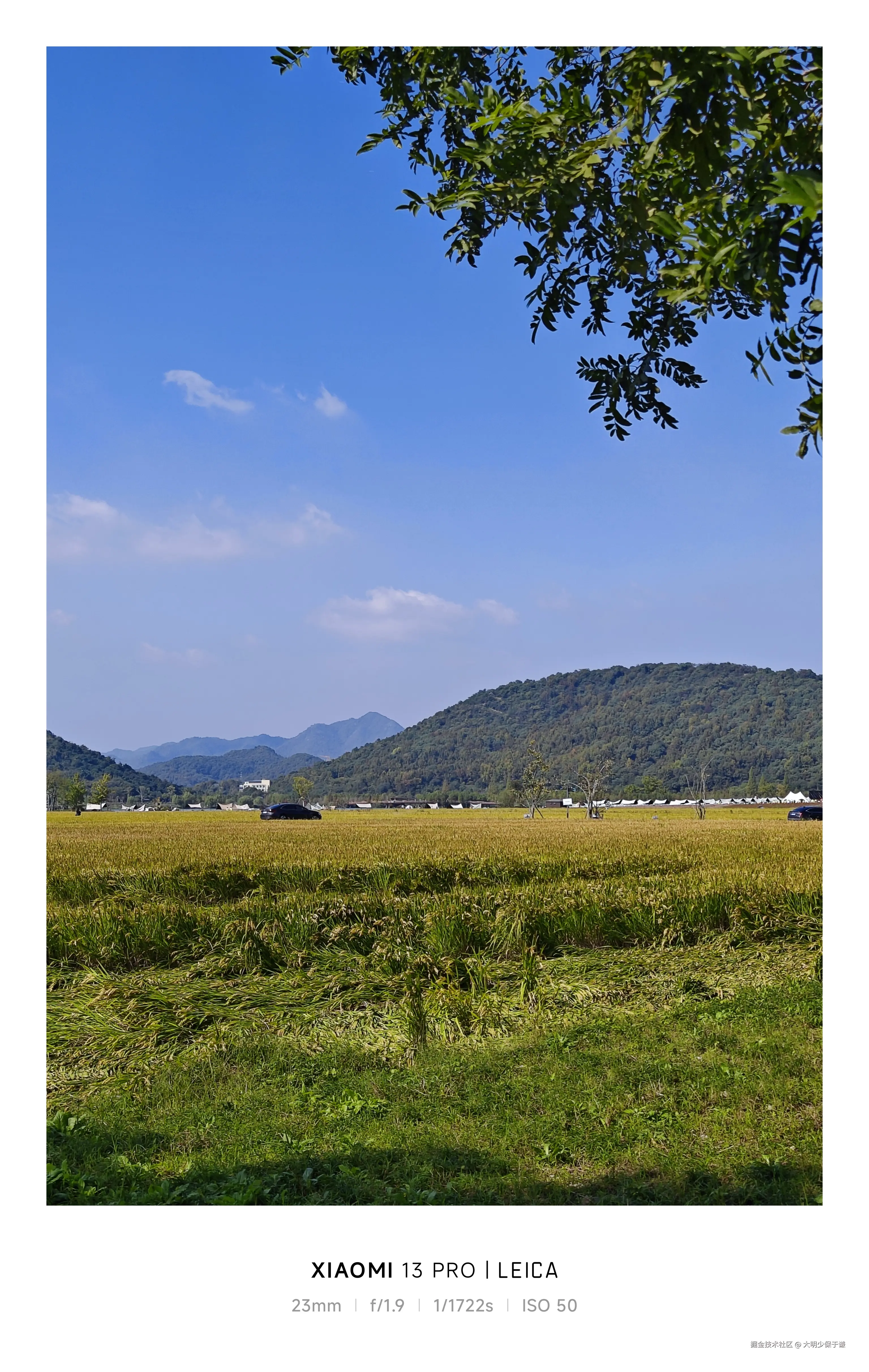 大明少保于谦于2024-11-08 11:32发布的图片