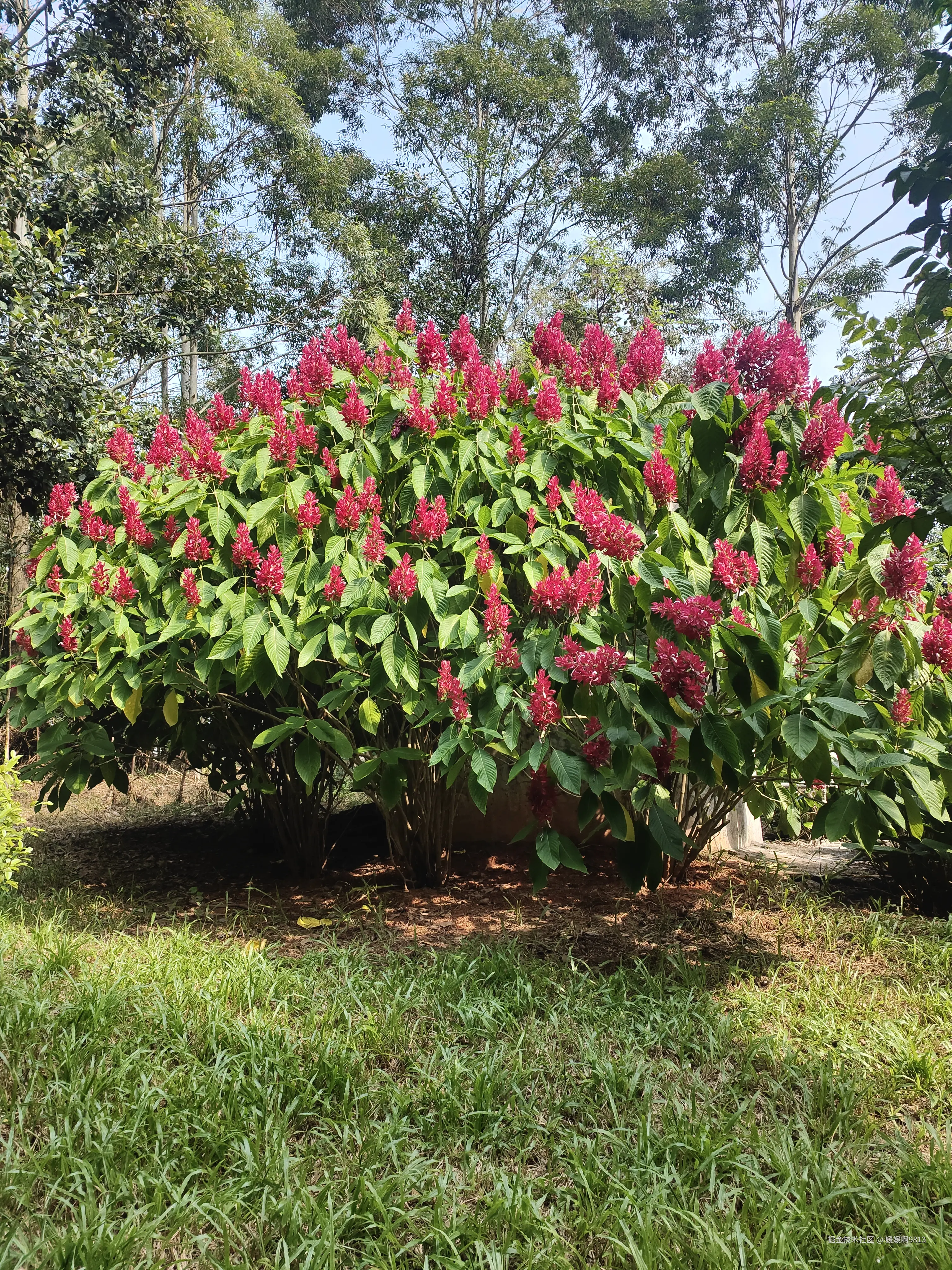 媛媛啊9813于2025-09-21 23:16发布的图片