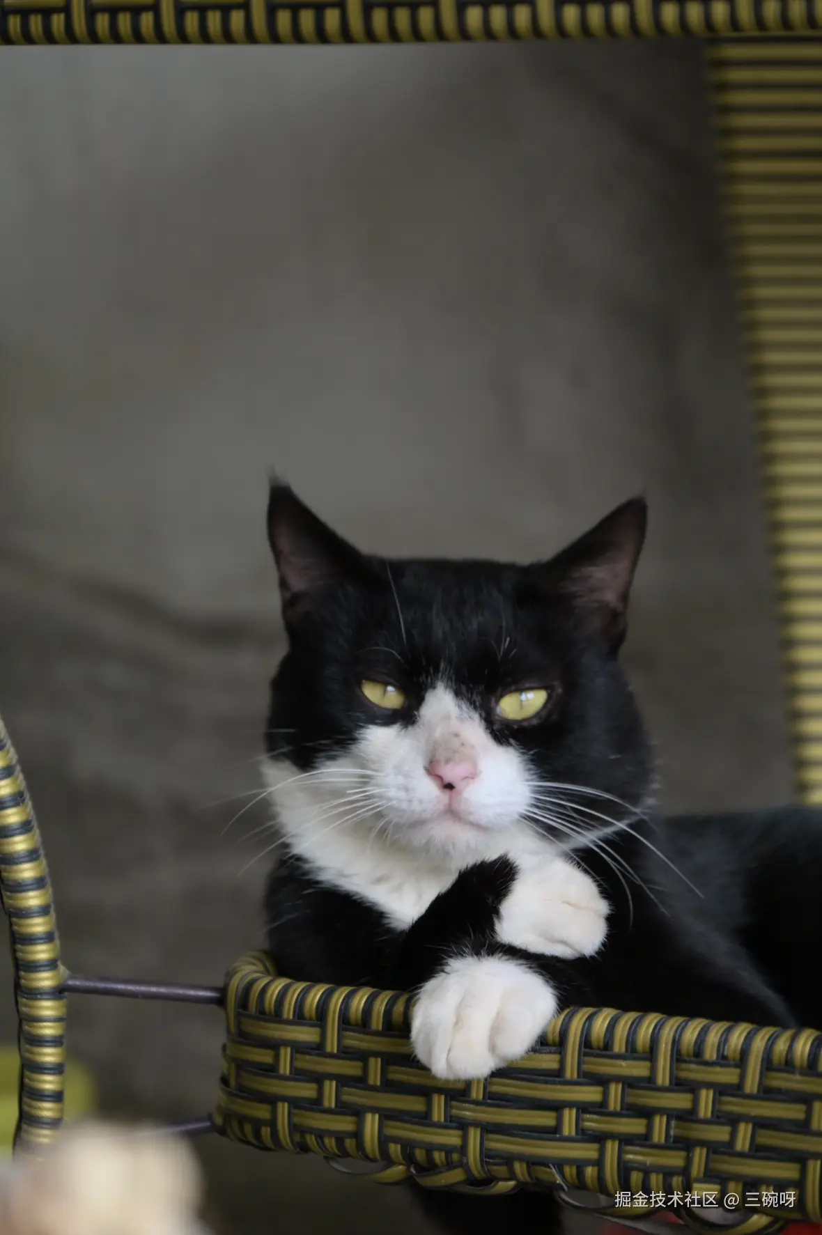 三碗呀于2025-09-10 09:34发布的图片