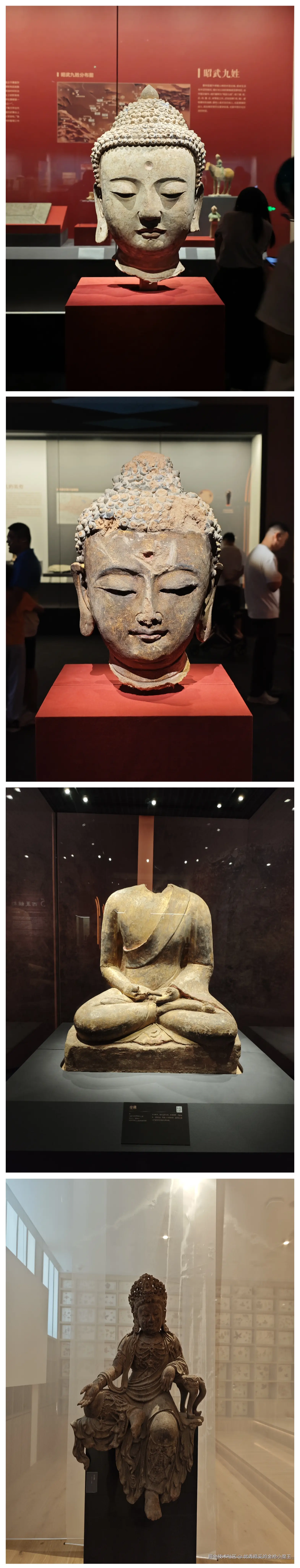 优秀稳妥的金枪小魔王于2025-07-28 06:13发布的图片