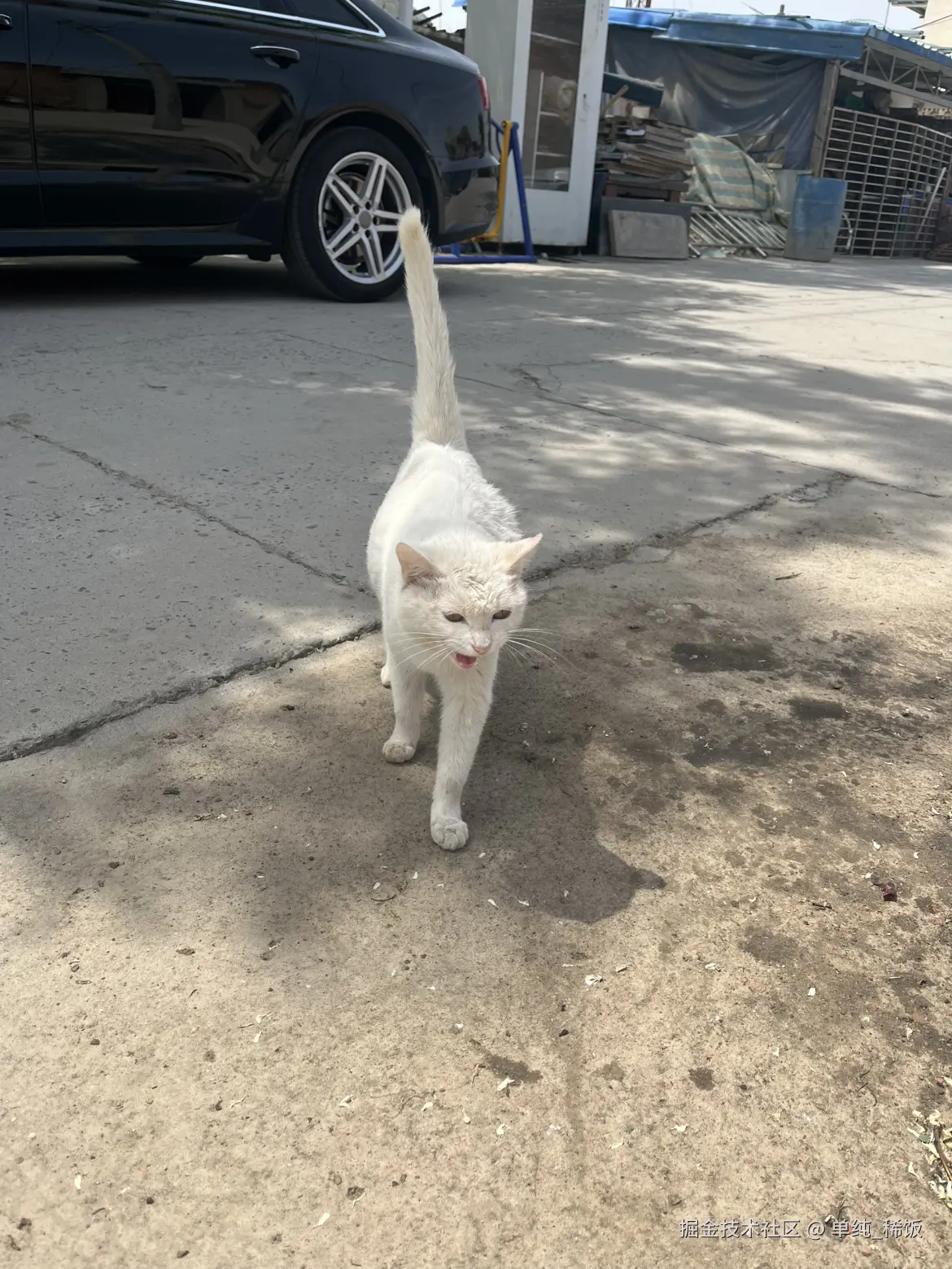 单纯_稀饭于2025-04-25 12:03发布的图片