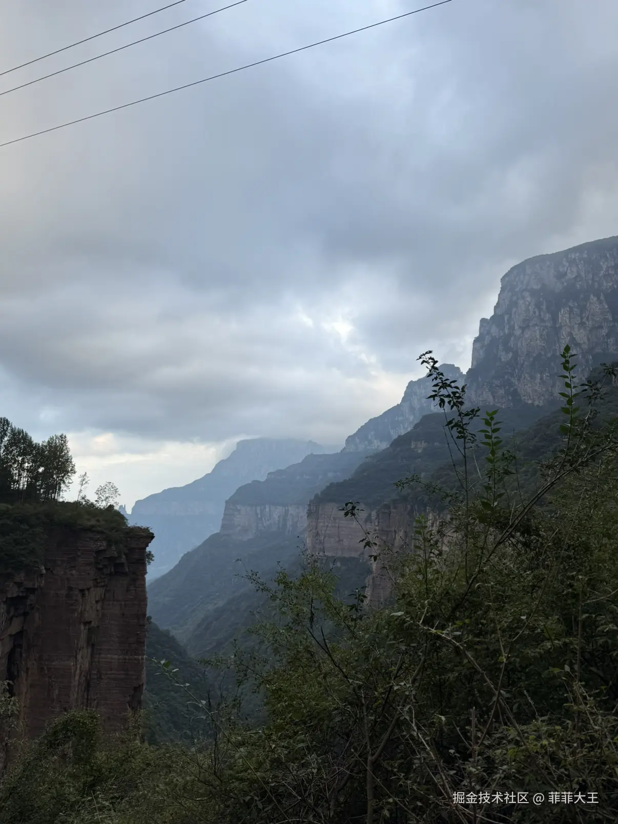 菲菲大王于2025-10-09 11:40发布的图片