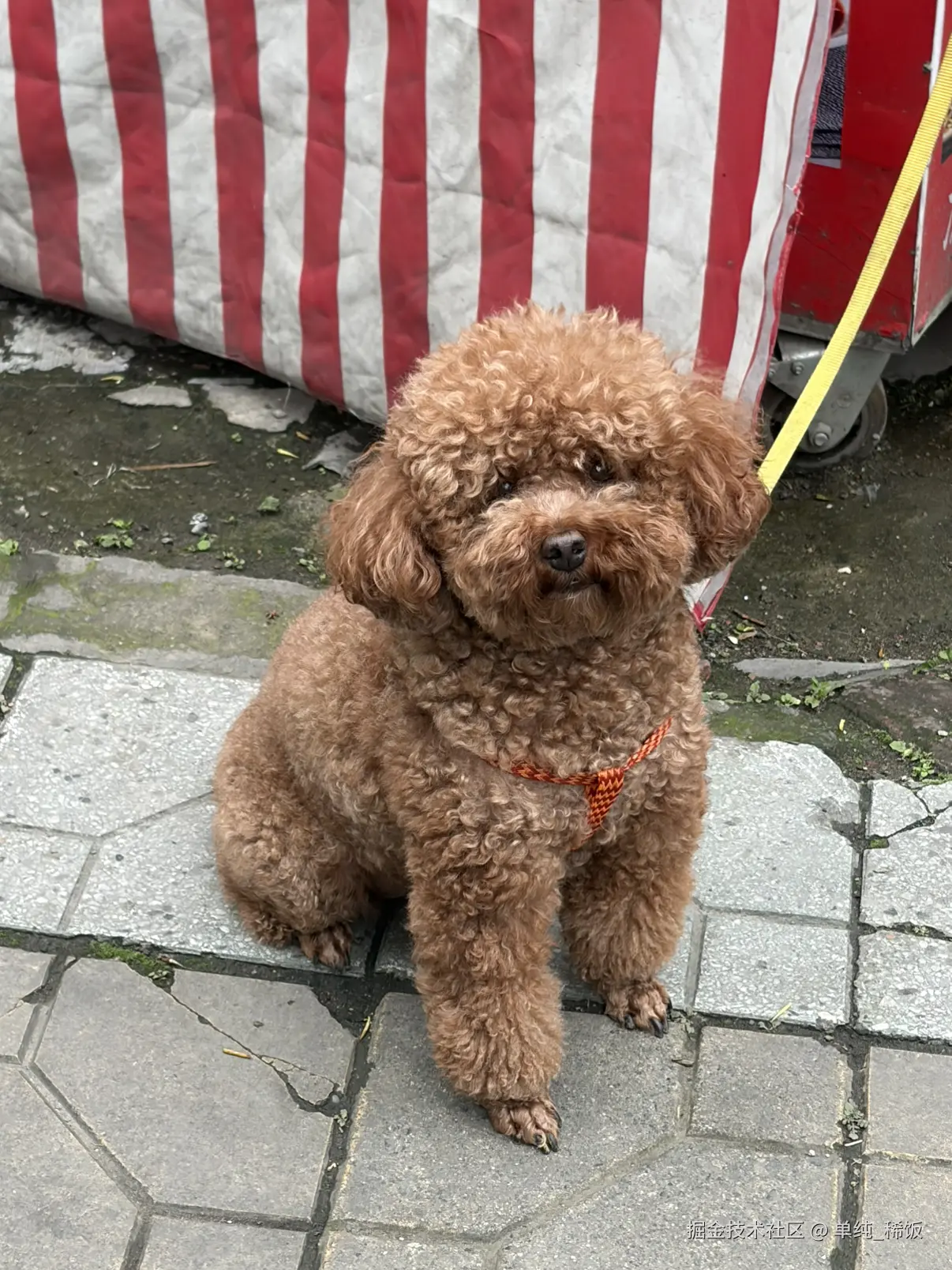 单纯_稀饭于2026-03-30 09:12发布的图片