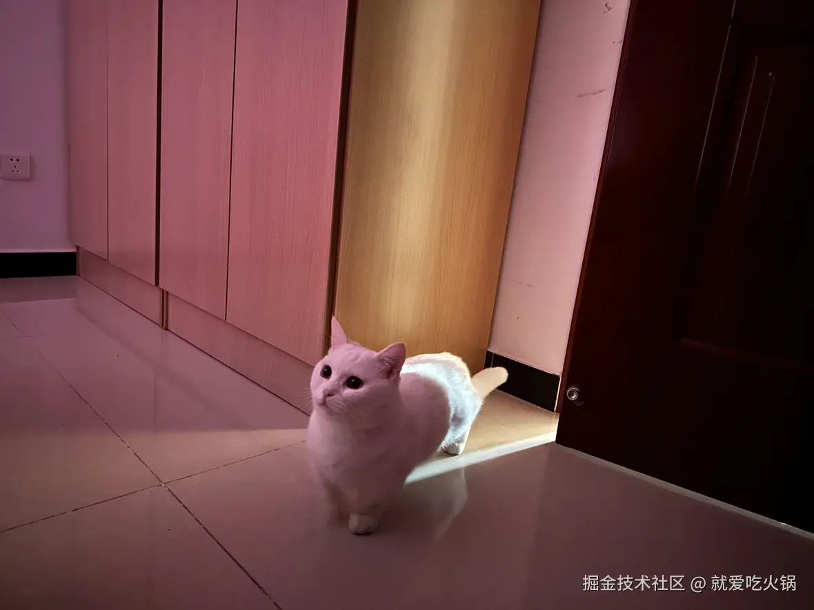 就爱吃火锅于2025-11-24 09:30发布的图片