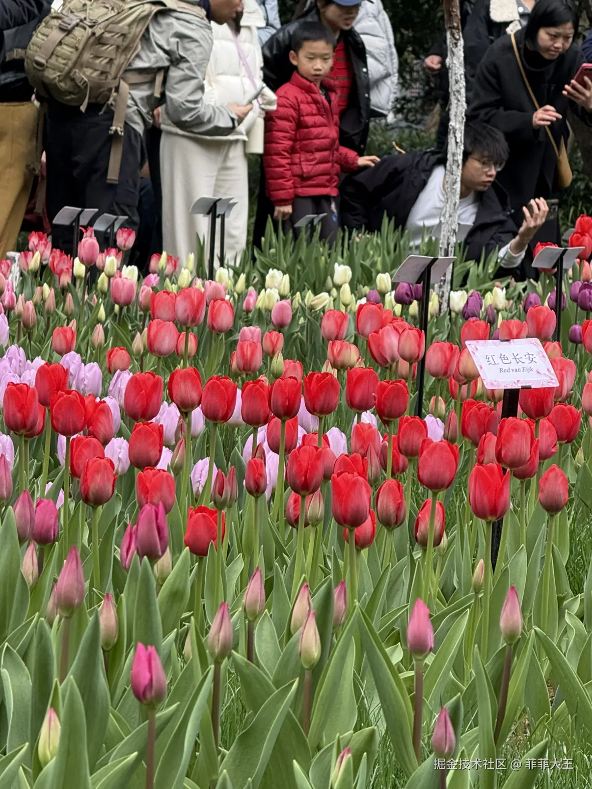 菲菲大王于2026-03-09 10:13发布的图片