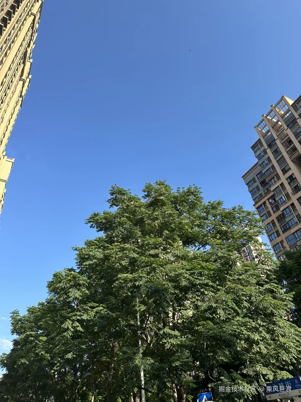 乘风巨浪于2025-06-30 08:32发布的图片