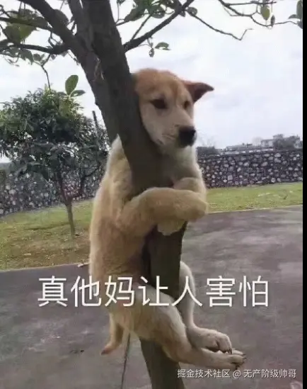 无产阶级帅哥于2025-06-25 14:21发布的图片