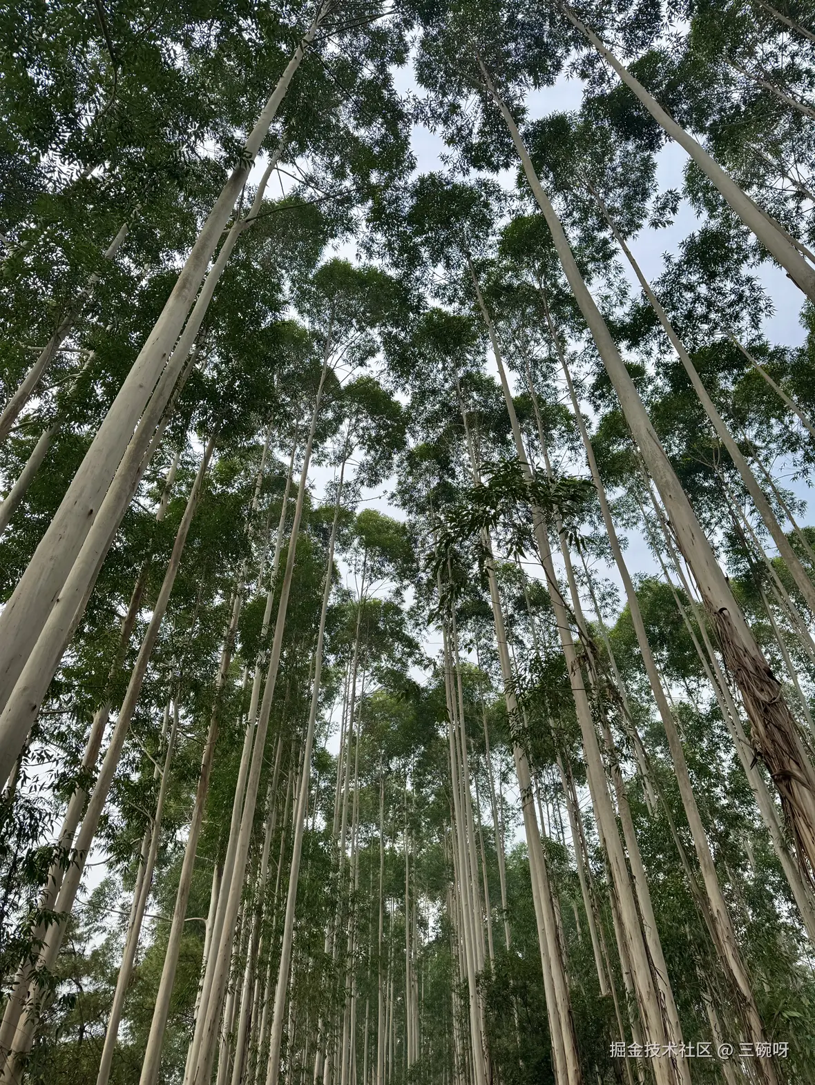 三碗呀于2025-12-01 09:17发布的图片