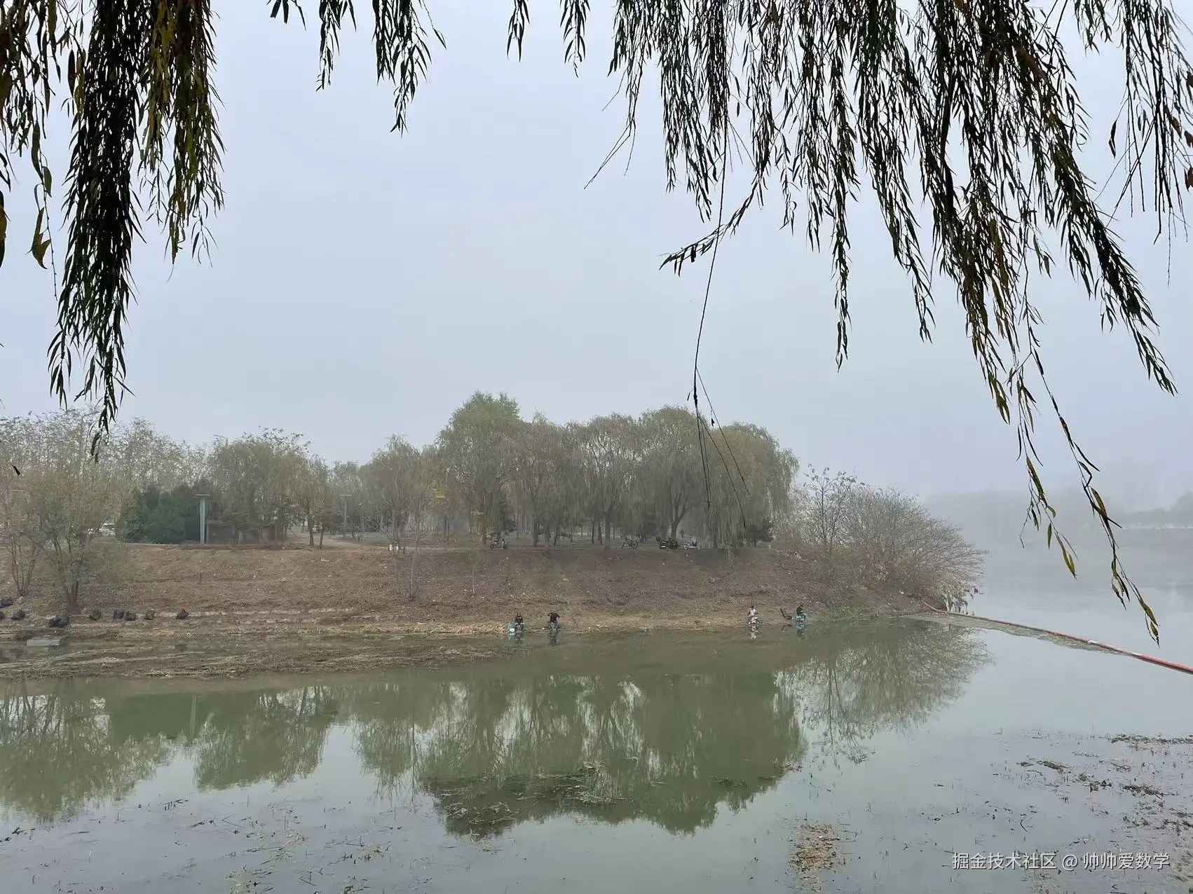 帅帅爱数学于2024-11-15 05:21发布的图片