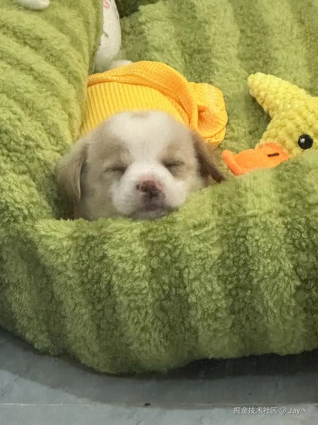 Jay丶于2024-10-14 10:01发布的图片