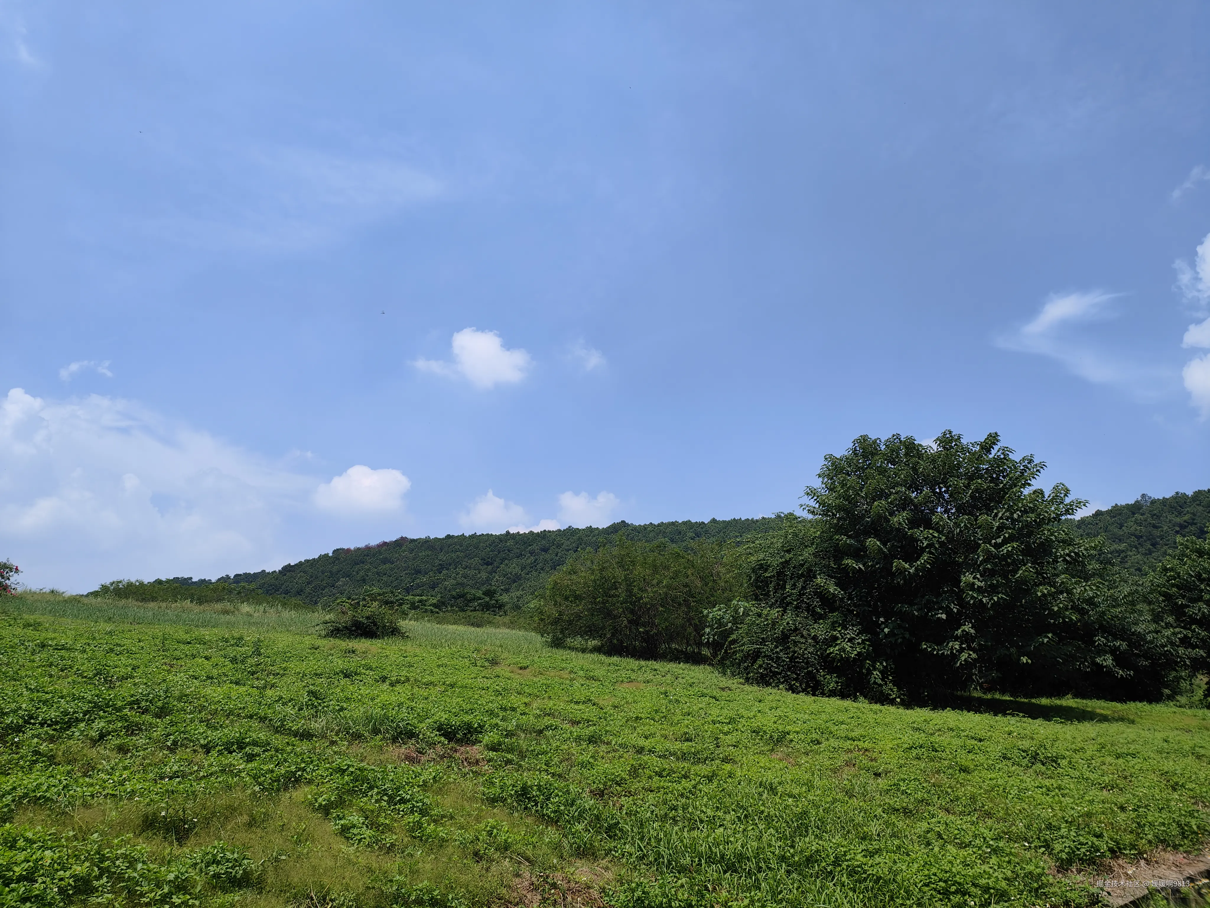 媛媛啊9813于2025-09-21 23:16发布的图片