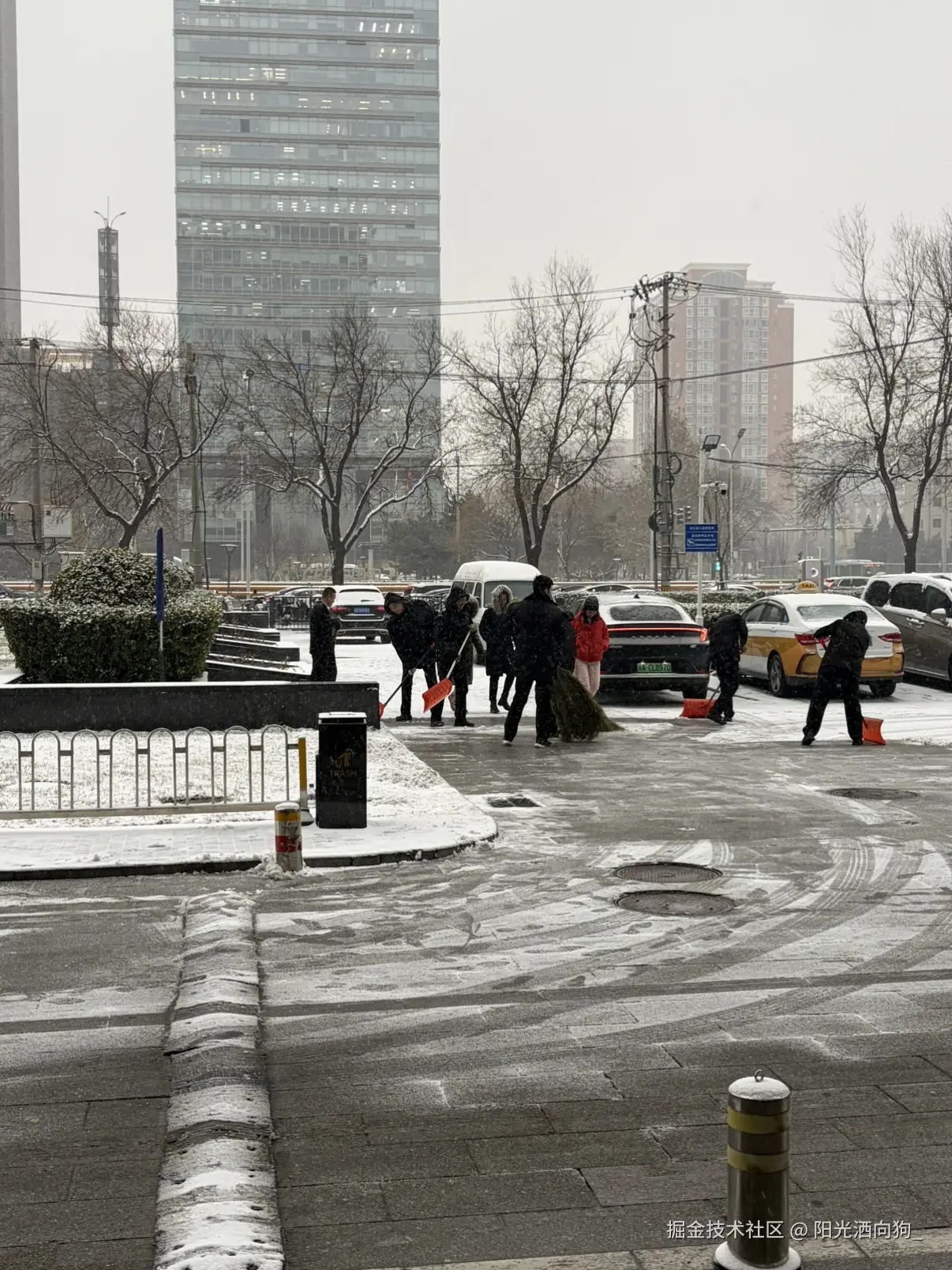 阳光洒向狗_于2025-12-12 15:41发布的图片