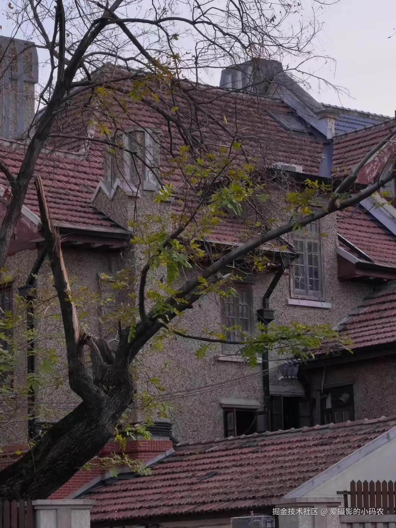 爱摄影的小码农于2025-01-09 16:49发布的图片