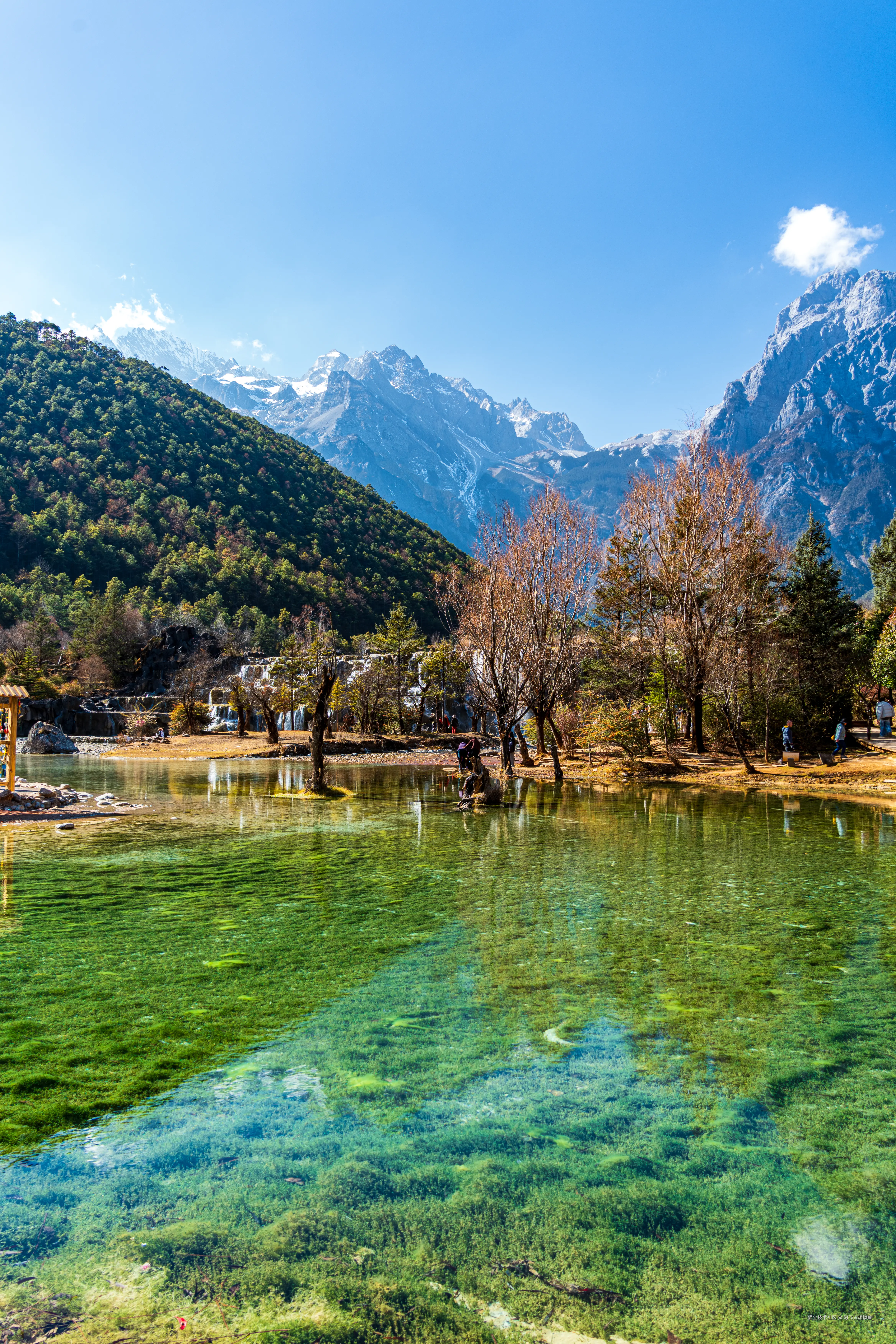 阿飞只想摸鱼于2026-02-11 14:55发布的图片
