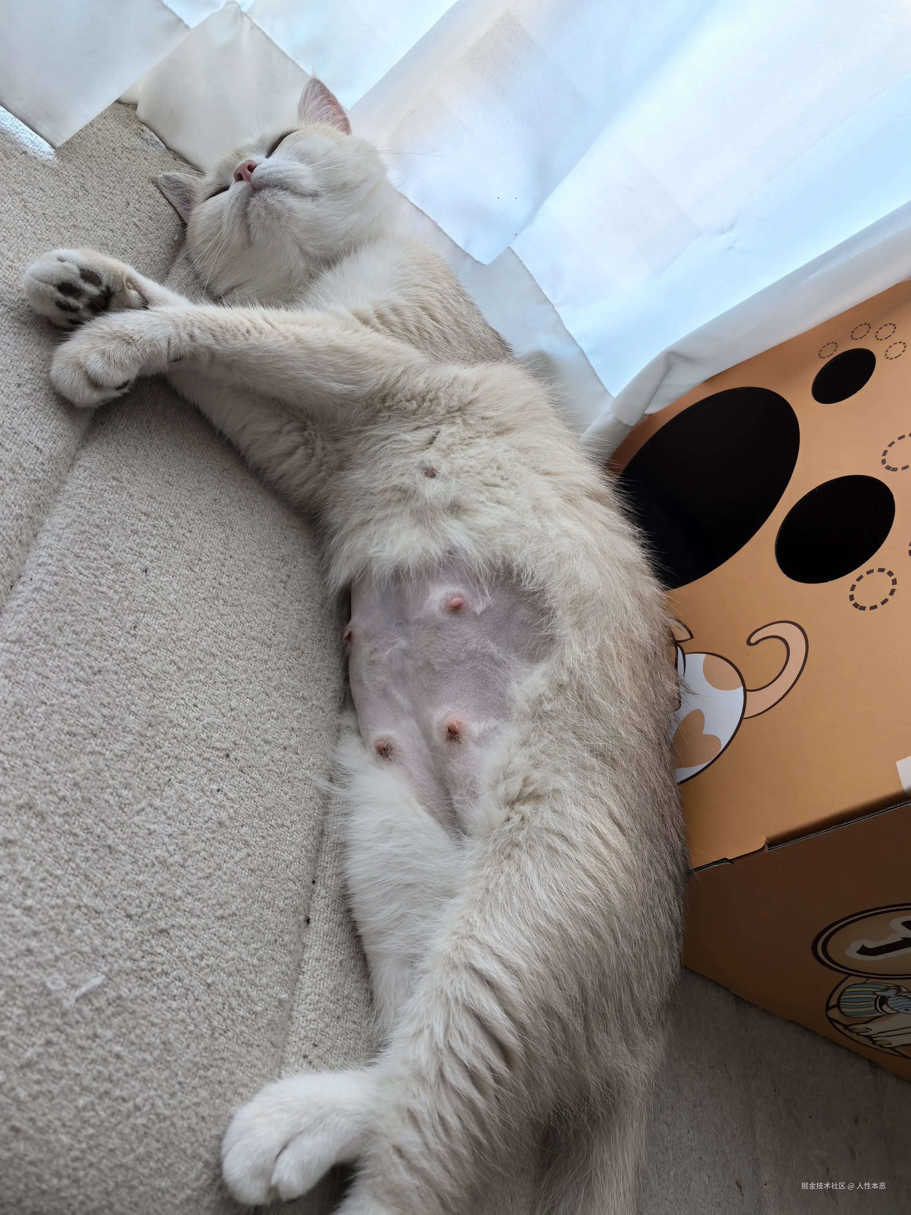 人性本恶于2024-08-06 09:10发布的图片