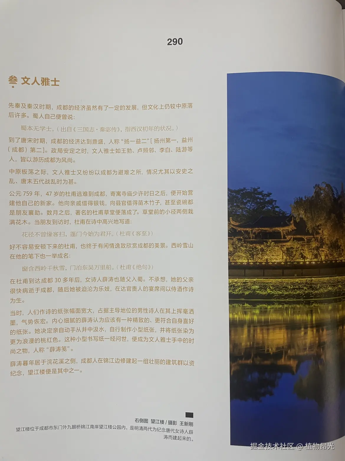 植物昂光于2026-04-04 17:22发布的图片