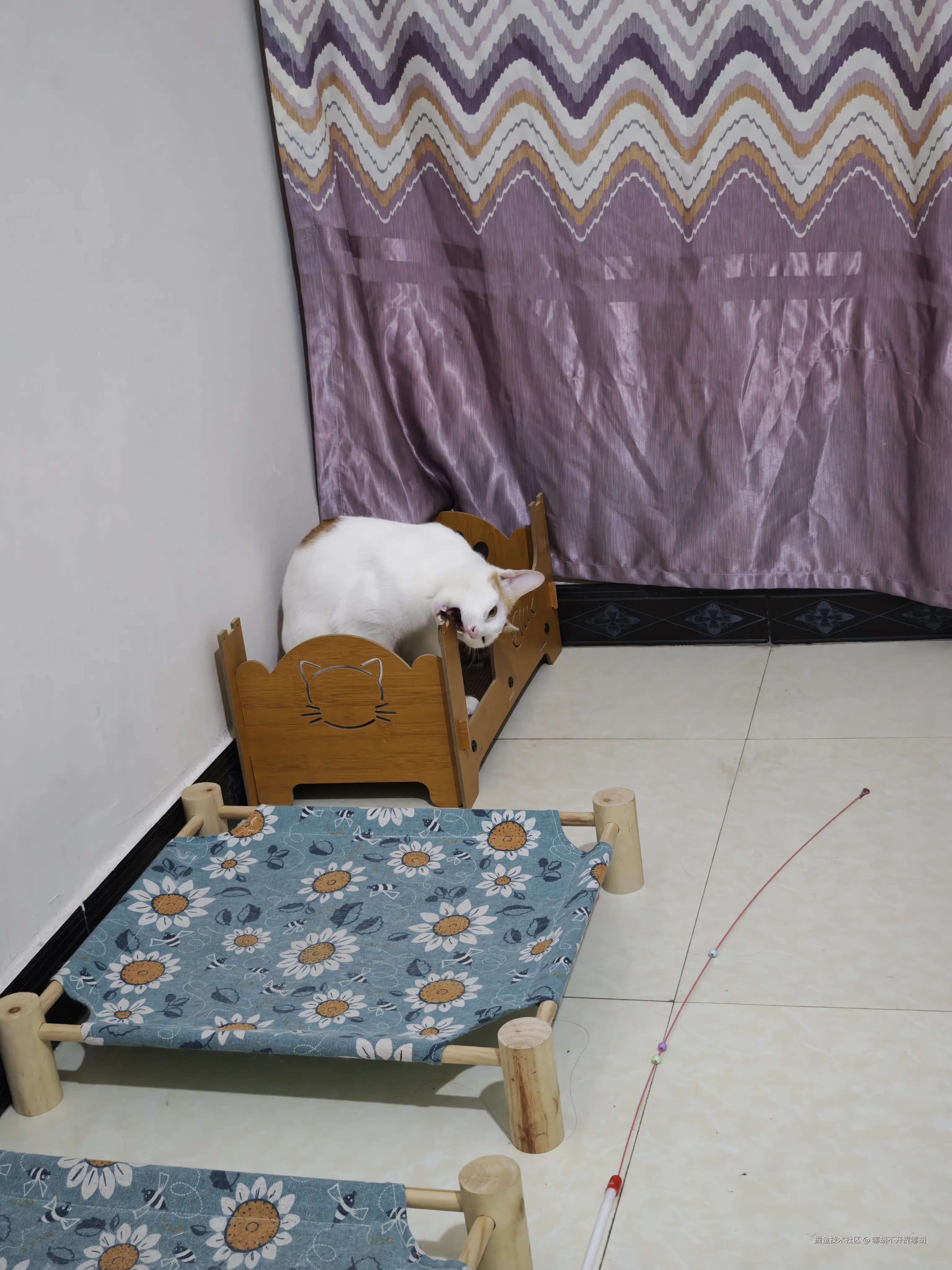 哪胡不开提哪胡于2025-05-06 09:36发布的图片