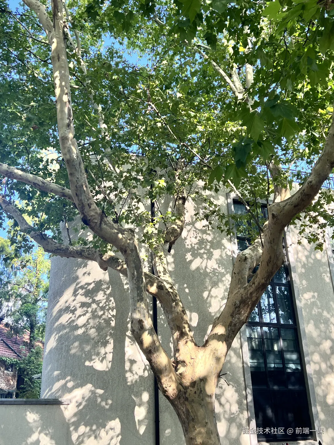 前端一课于2024-08-19 09:48发布的图片