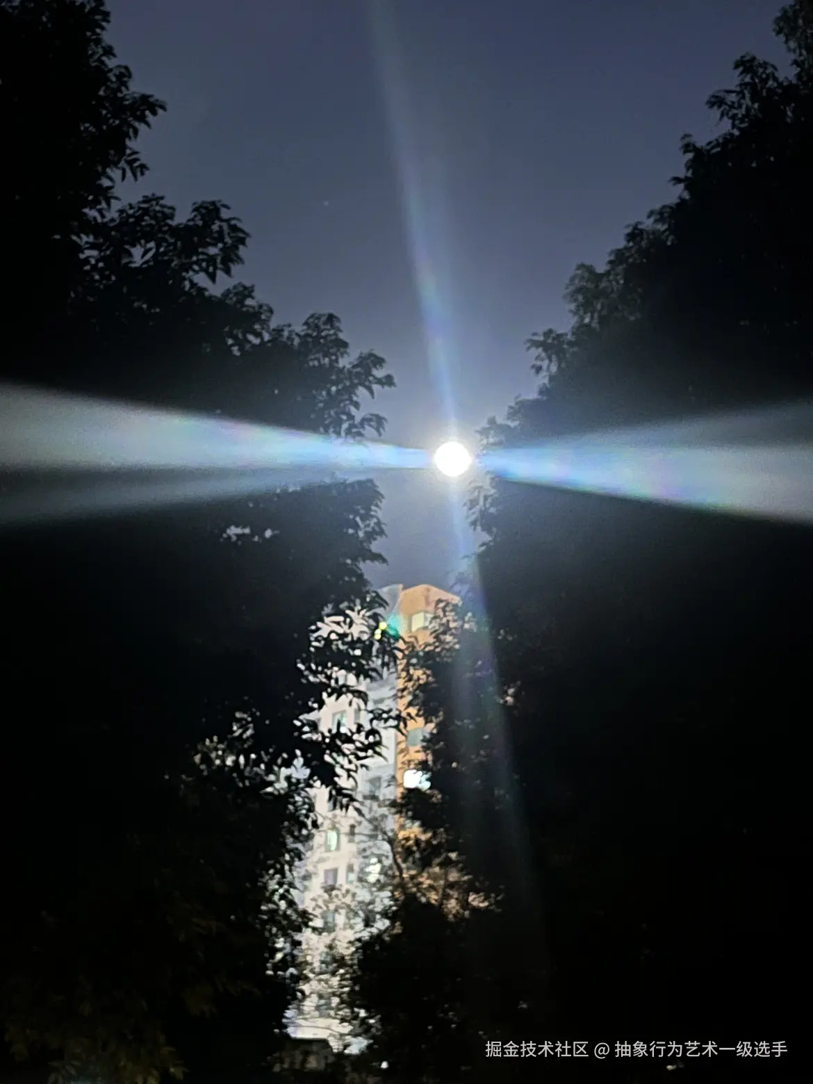 抽象行为艺术一级选手于2025-12-08 13:28发布的图片