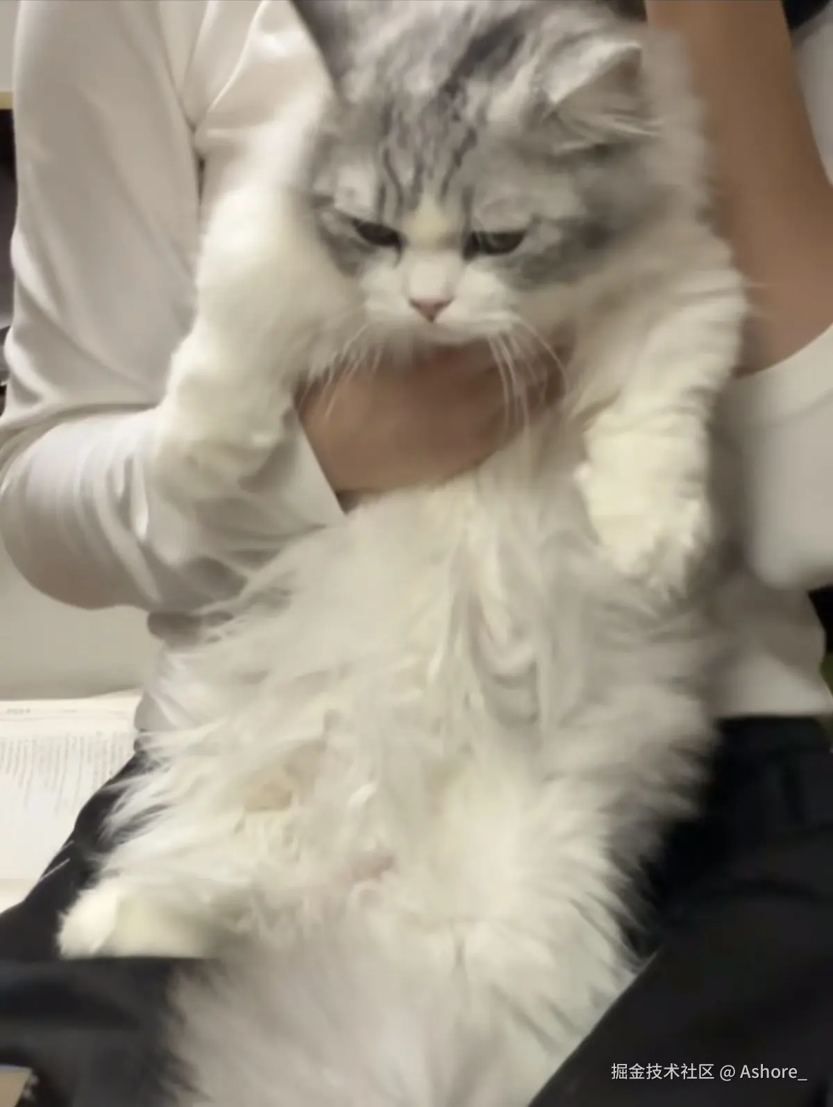 Ashore_于2024-12-20 11:24发布的图片