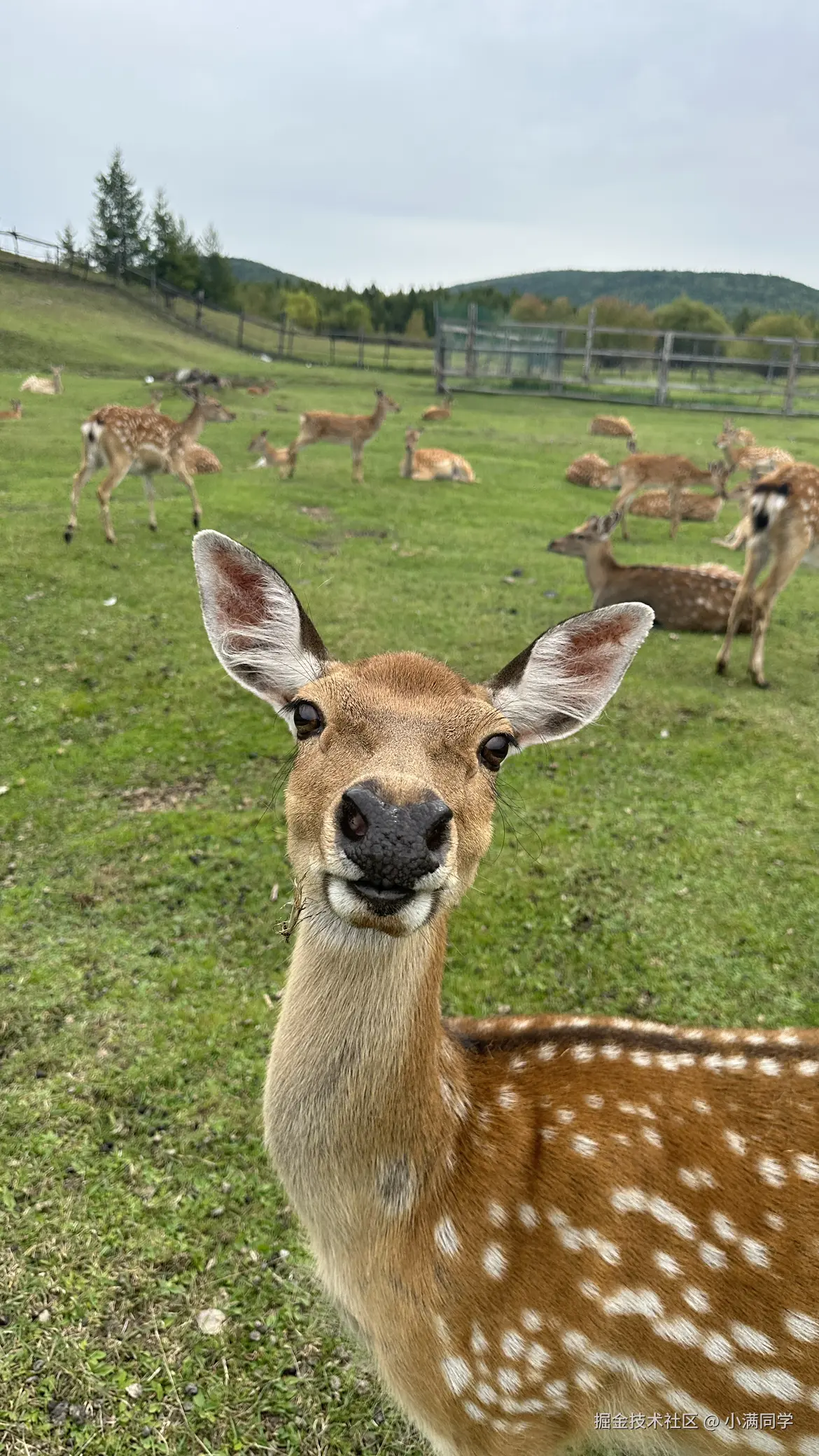 小满同学于2025-11-21 13:06发布的图片