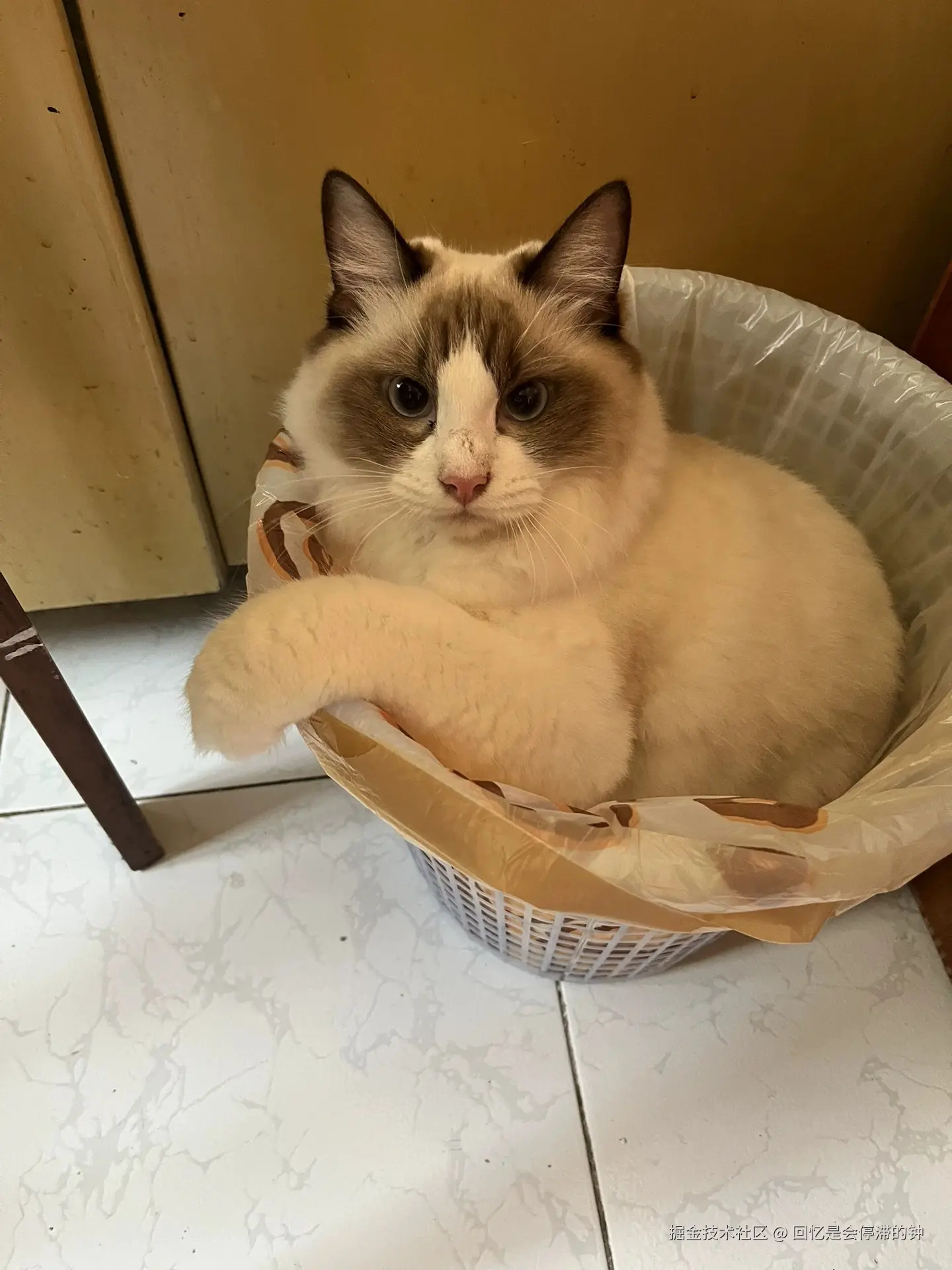 回忆是会停滞的钟于2025-11-19 13:41发布的图片