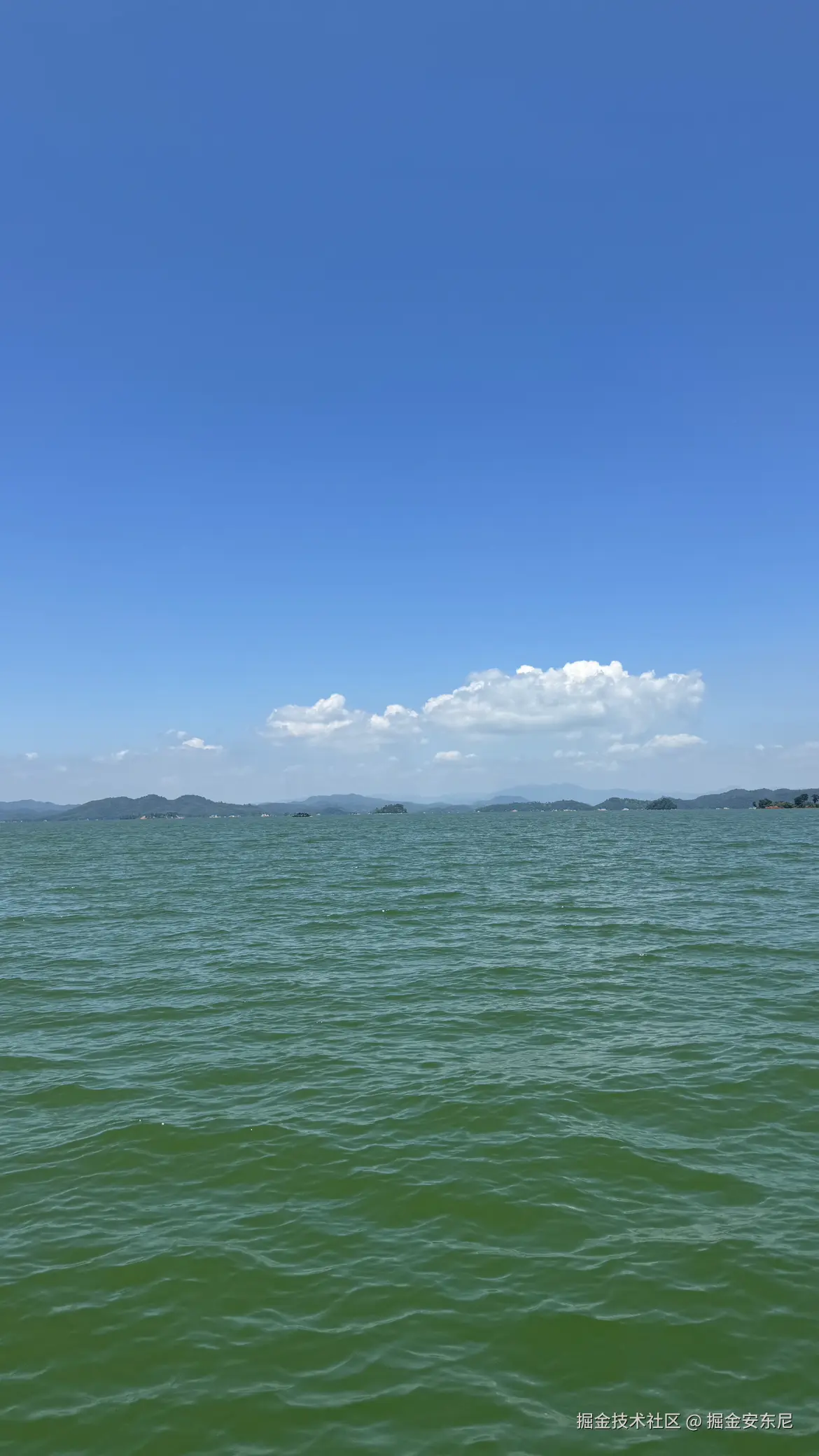 掘金安东尼于2024-08-03 21:01发布的图片