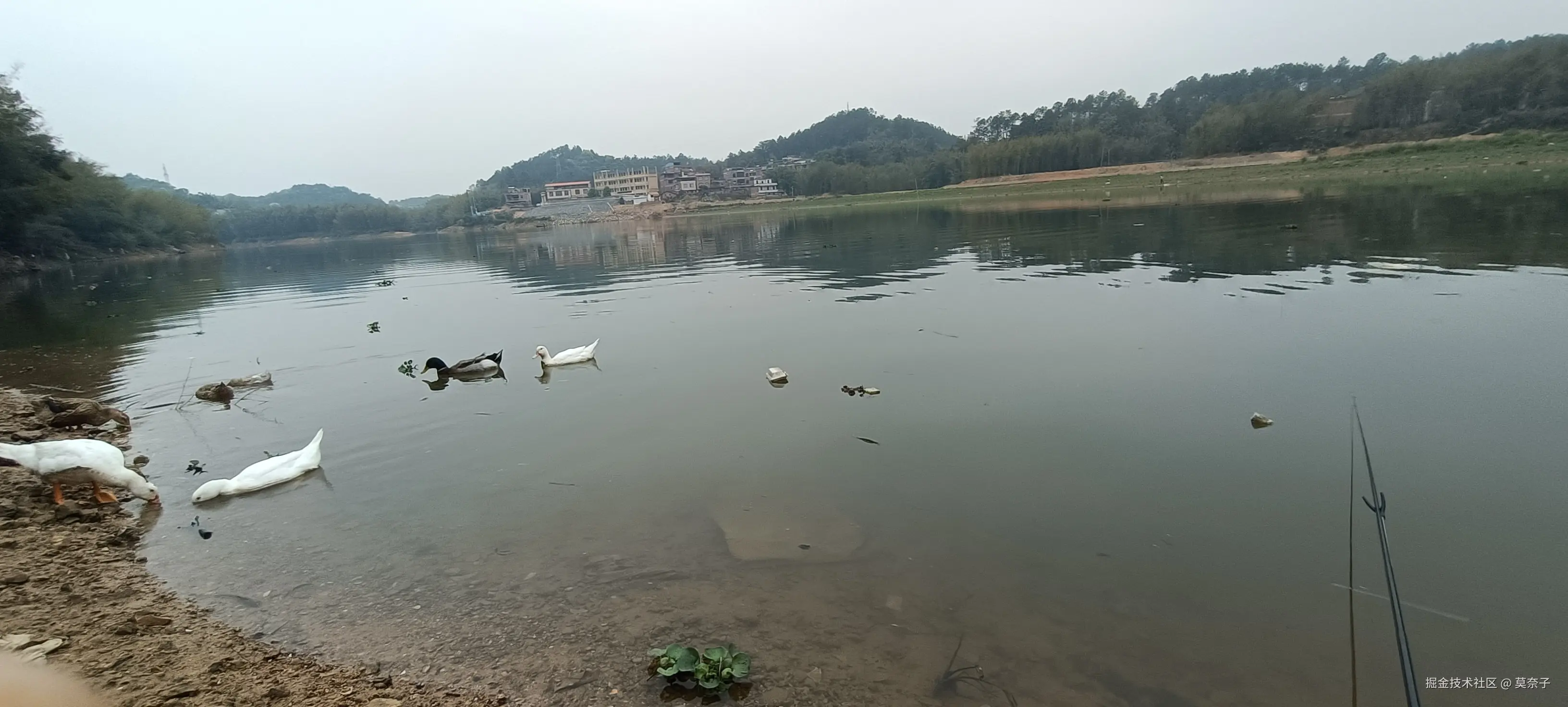 莫奈子于2025-04-07 10:54发布的图片