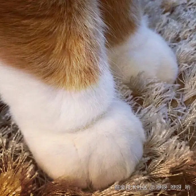 咿呀_咿呀_哟于2025-01-03 08:33发布的图片