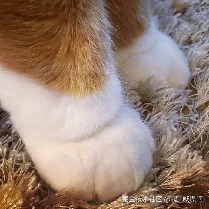 嘘_喊喋嘀于2025-01-03 16:33发布的图片