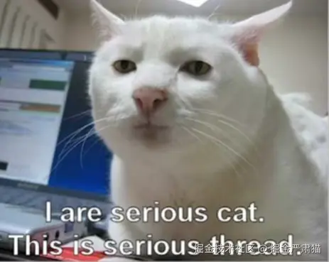 掘金严肃猫于2025-09-25 18:39发布的图片