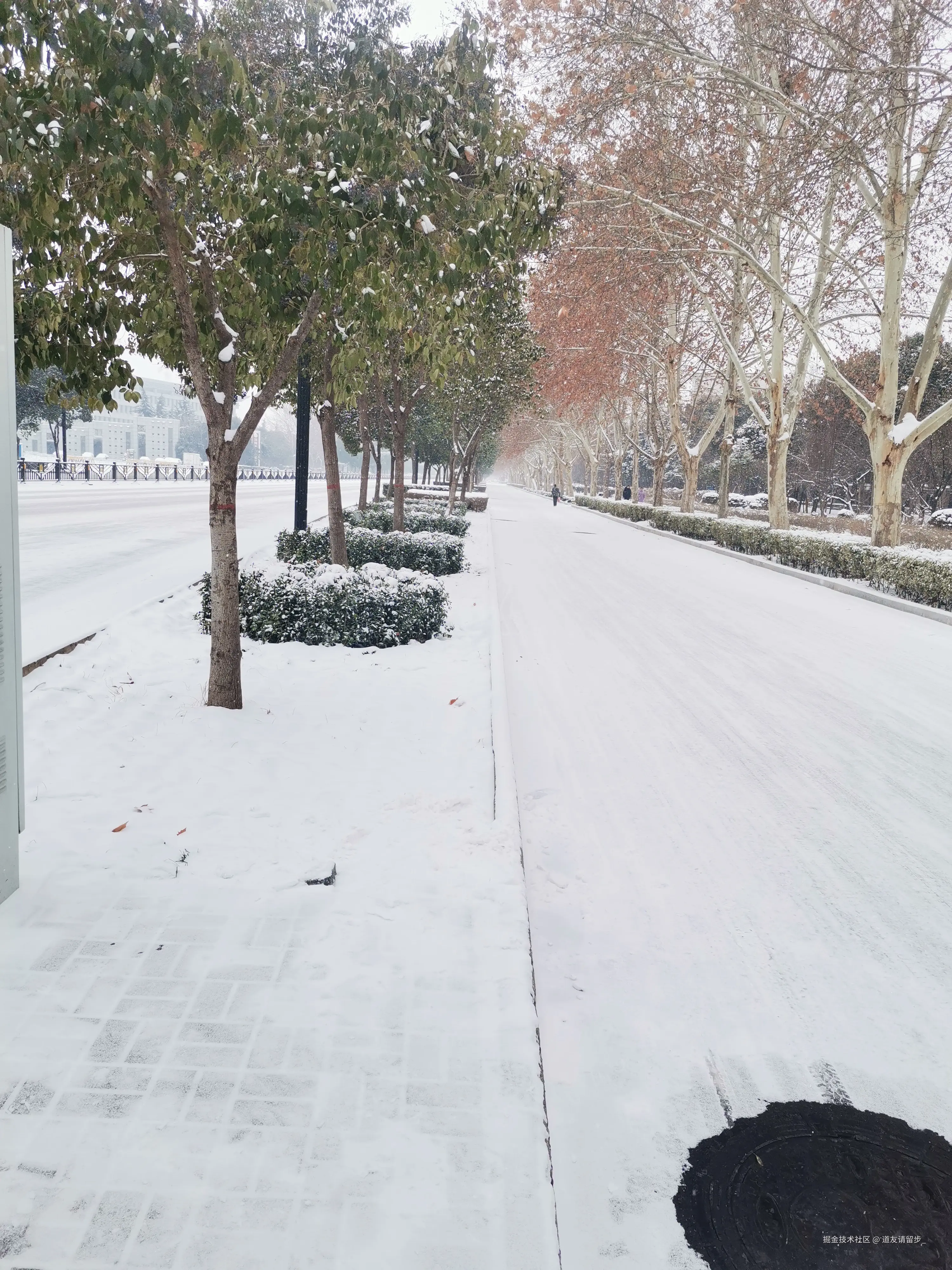 道友请留步_于2024-09-13 10:28发布的图片