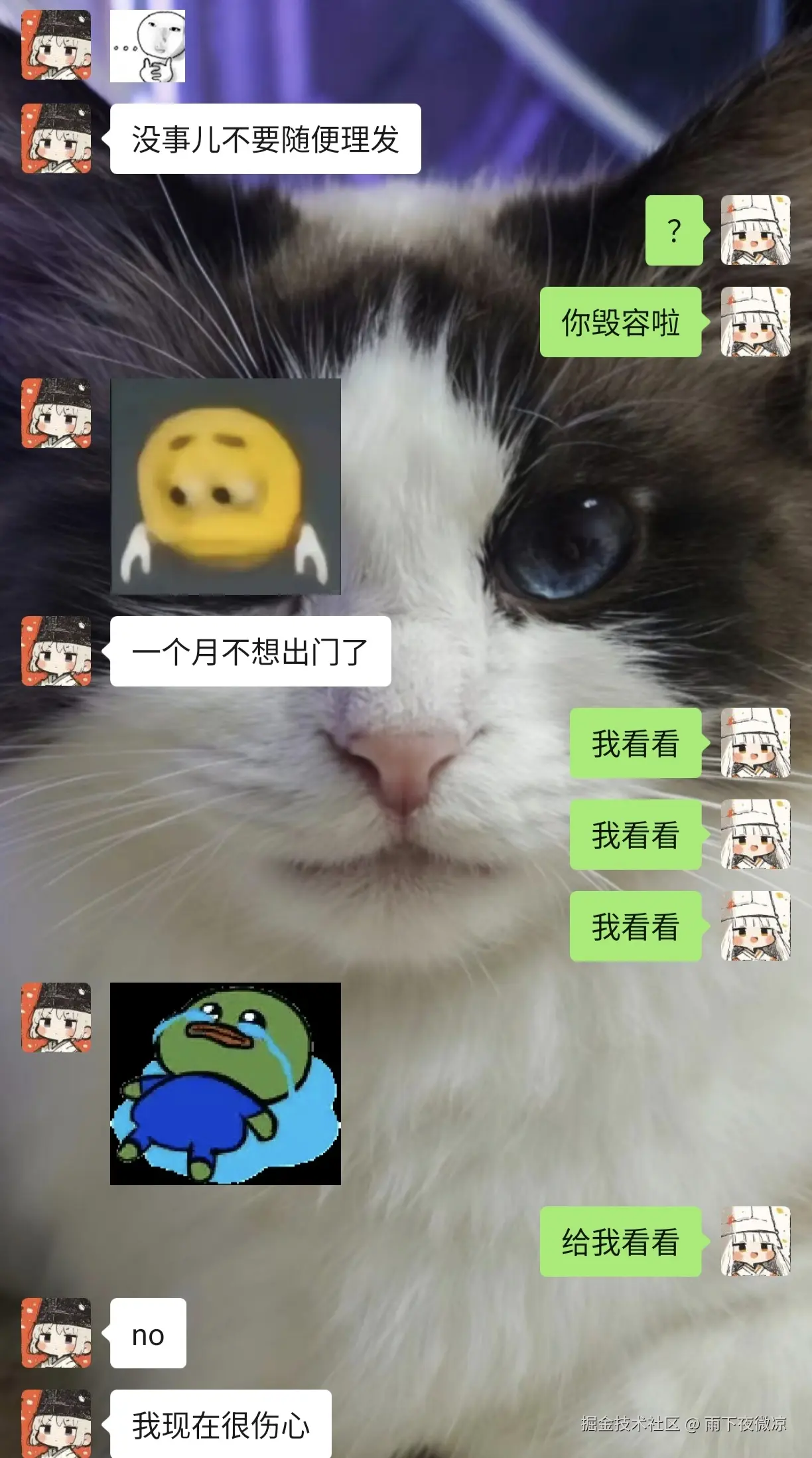 雨下夜微凉于2026-04-27 10:44发布的图片