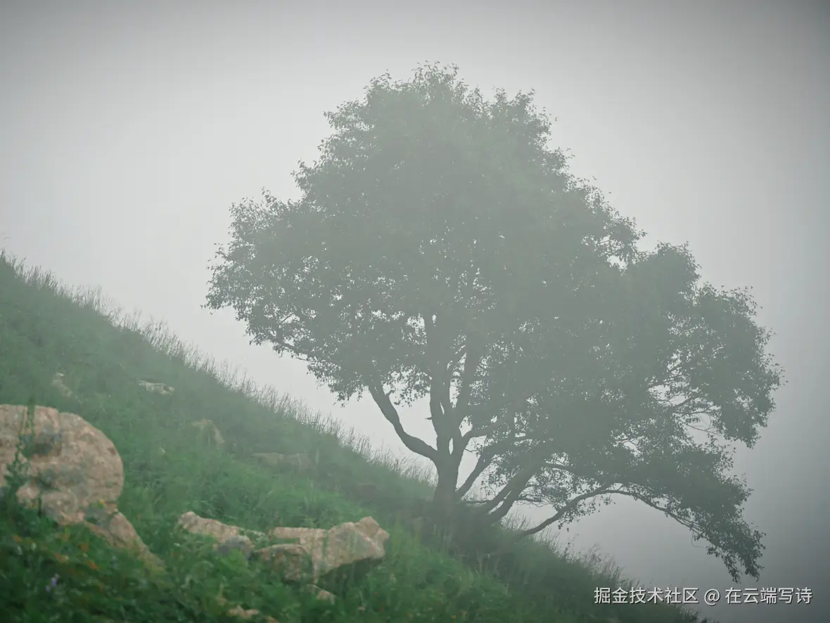 在云端写诗于2025-08-04 02:49发布的图片